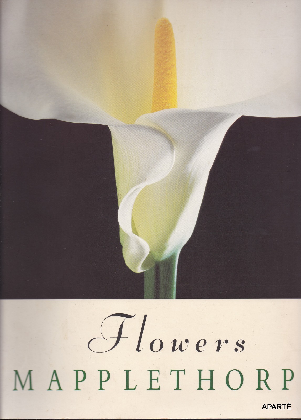 FLOWERS. Foreword by Patti Smith. - MAPPLETHORPE (Robert)