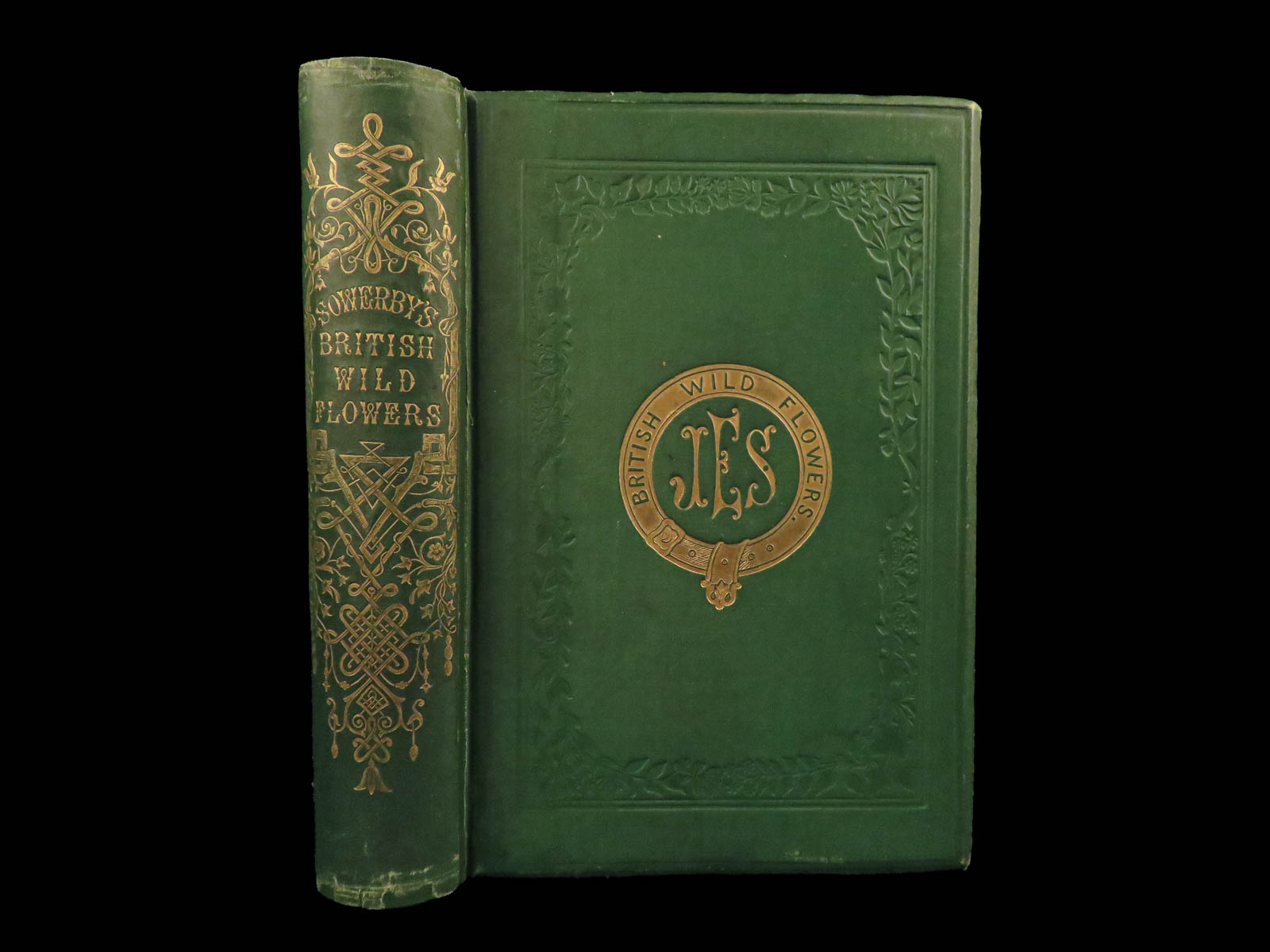 アンティークWILD  FLOWERS  by  John Ｅ. Sowerby Amazon.co.jp: イギリス アンティーク ボタニカルアート植物画