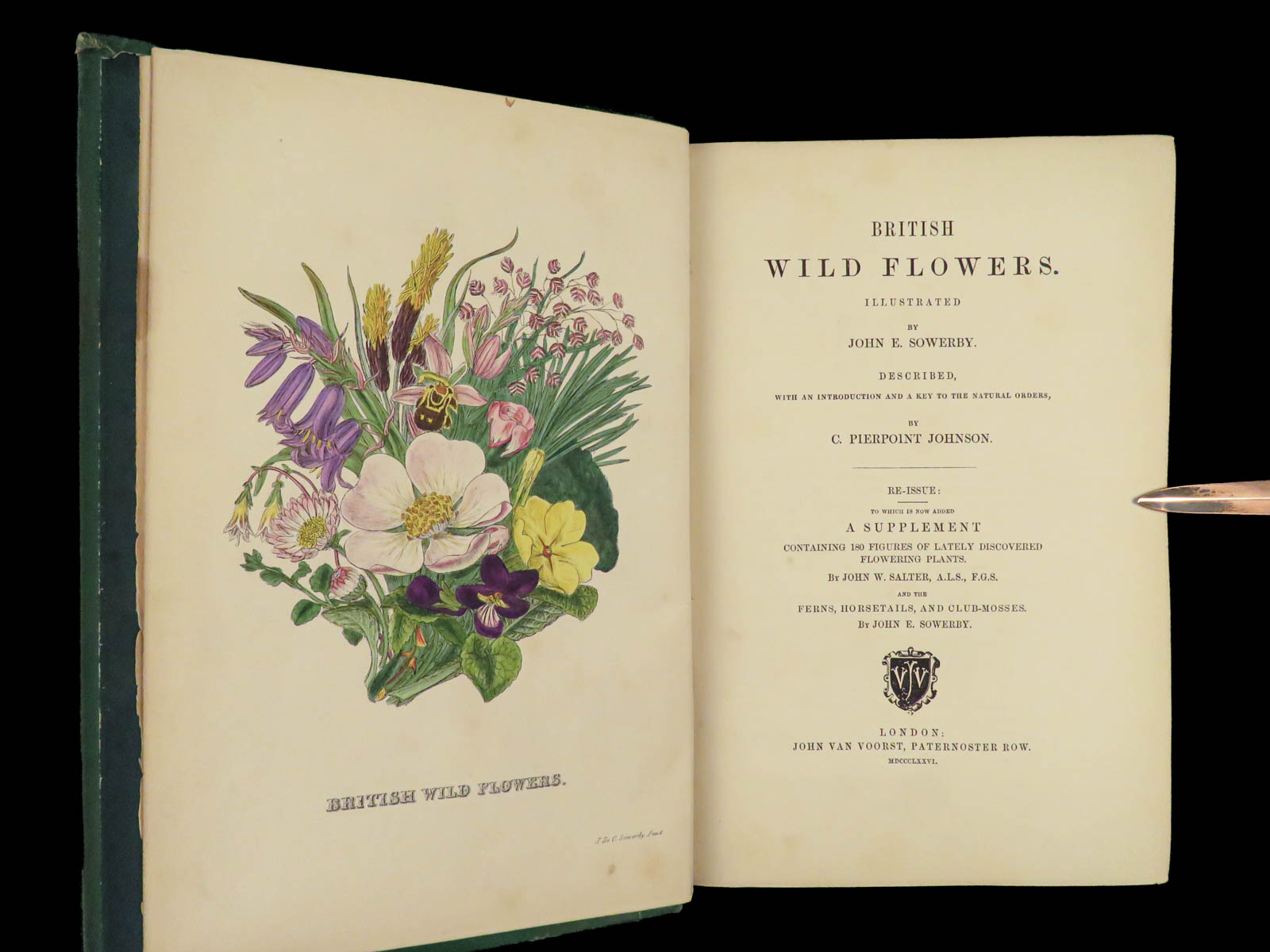 British Wild Flowers by SOWERBY, James: Near Fine Hardcover (1876