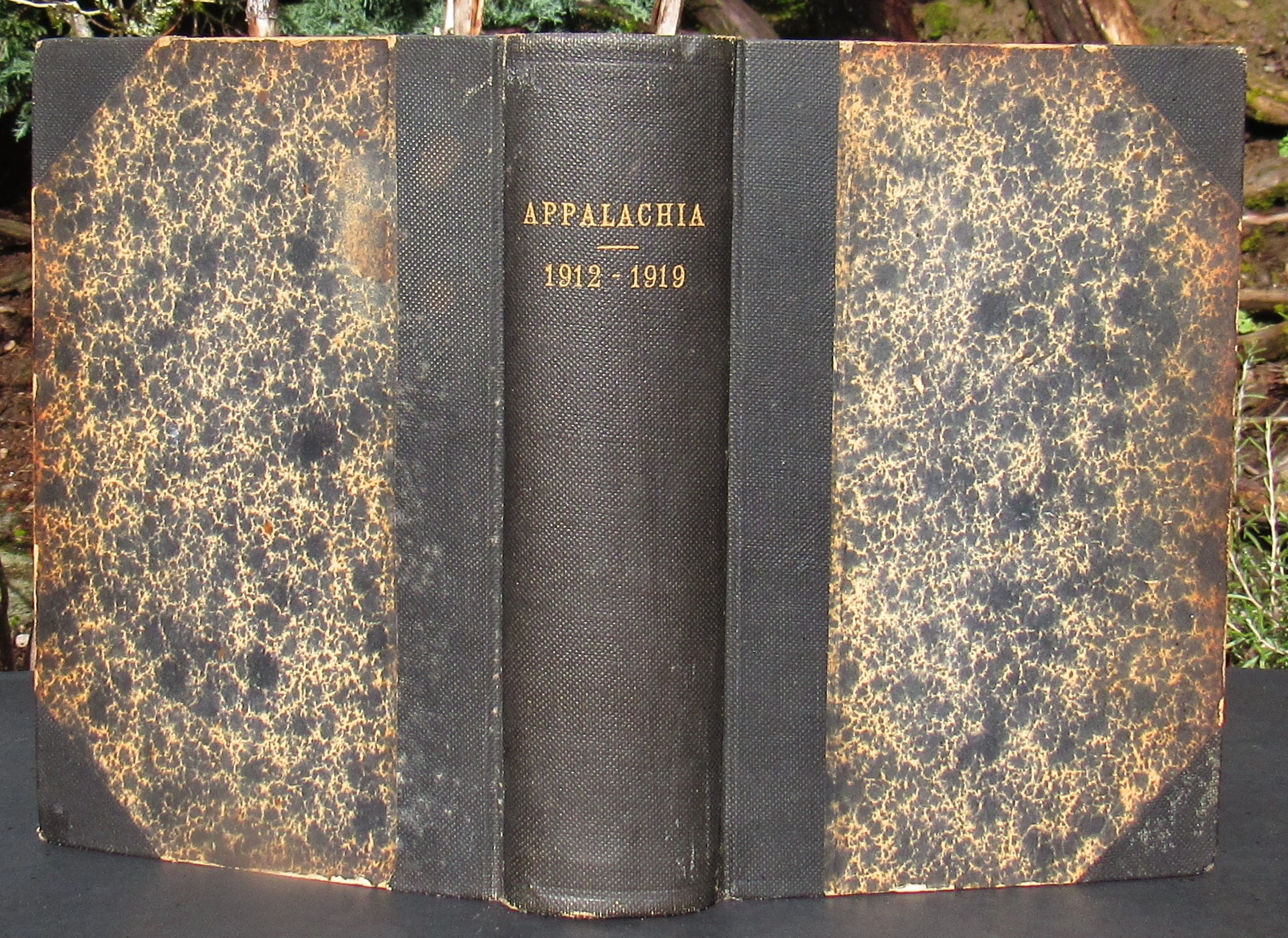 激安直営店 4 number XII volume 1912 april Appalachia ** 1915 jume アート・デザイン・音楽