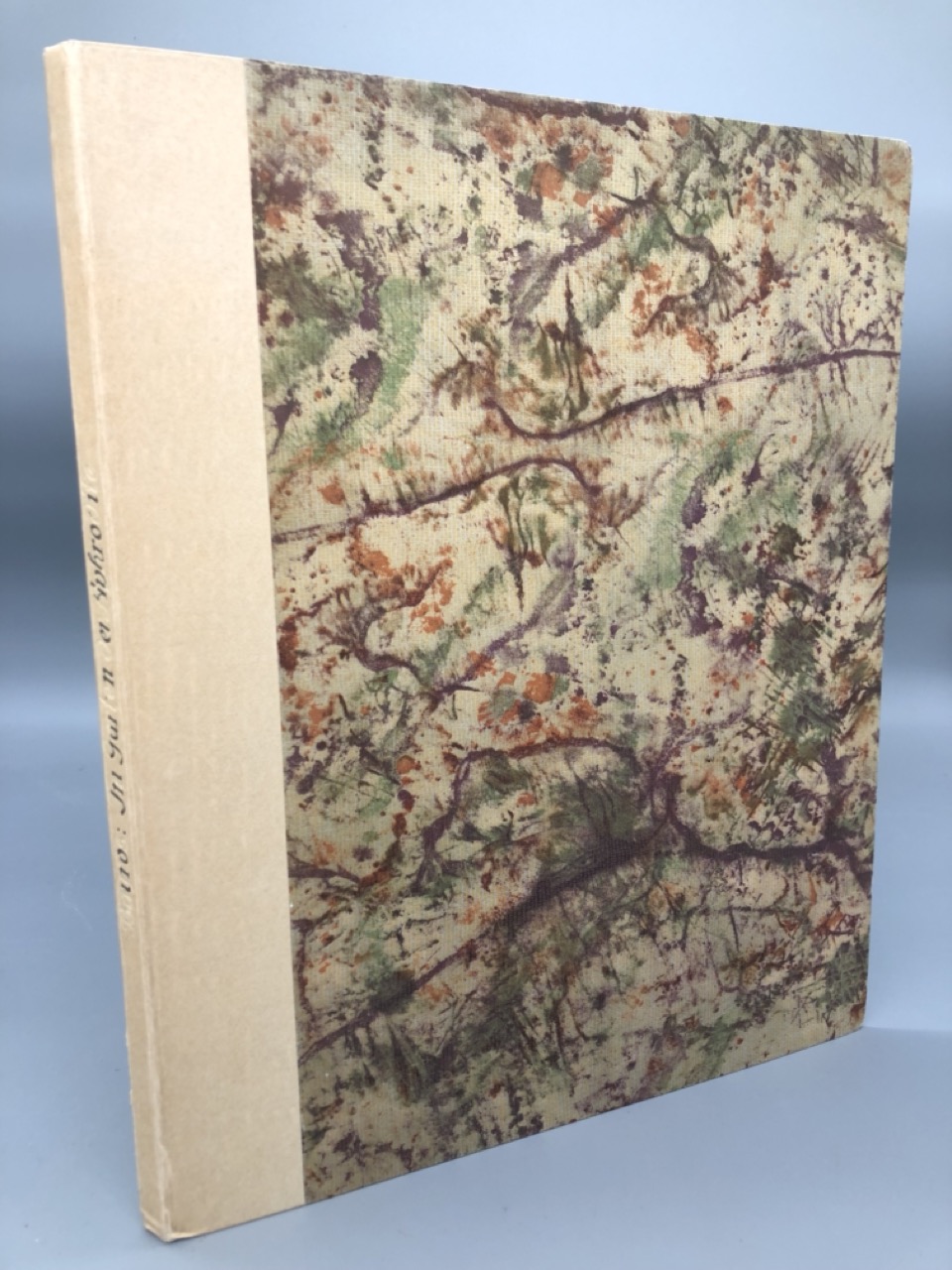 Im Garten der Aphrodite. 18 Bildgaben von Franz von Bayros. Mappenwerk
