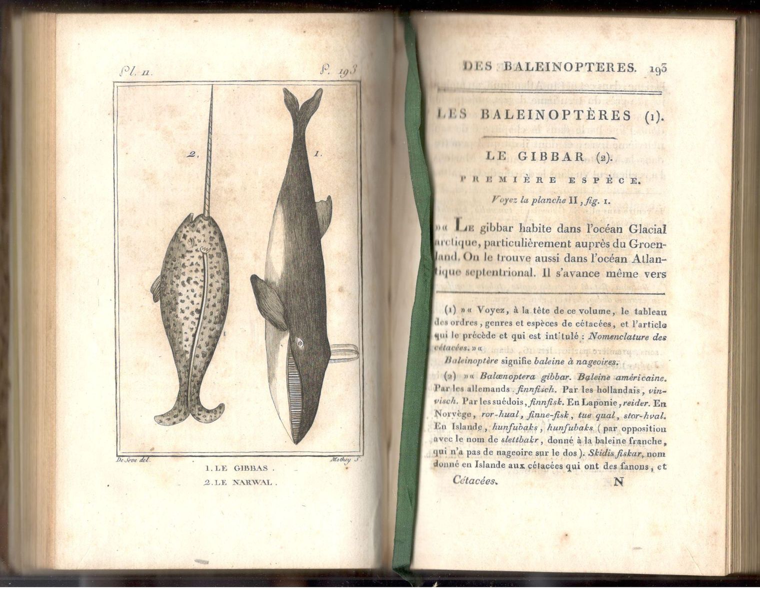 Histoire Naturelle,… - image