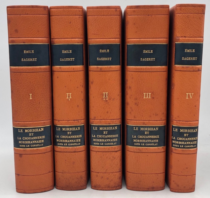 Le Morbihan Et La C… - image