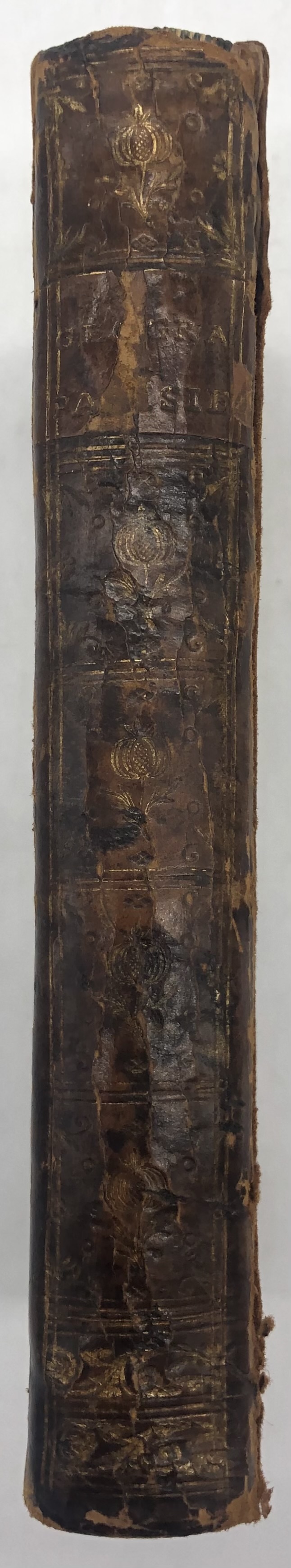 GéOgraphie Parisien…