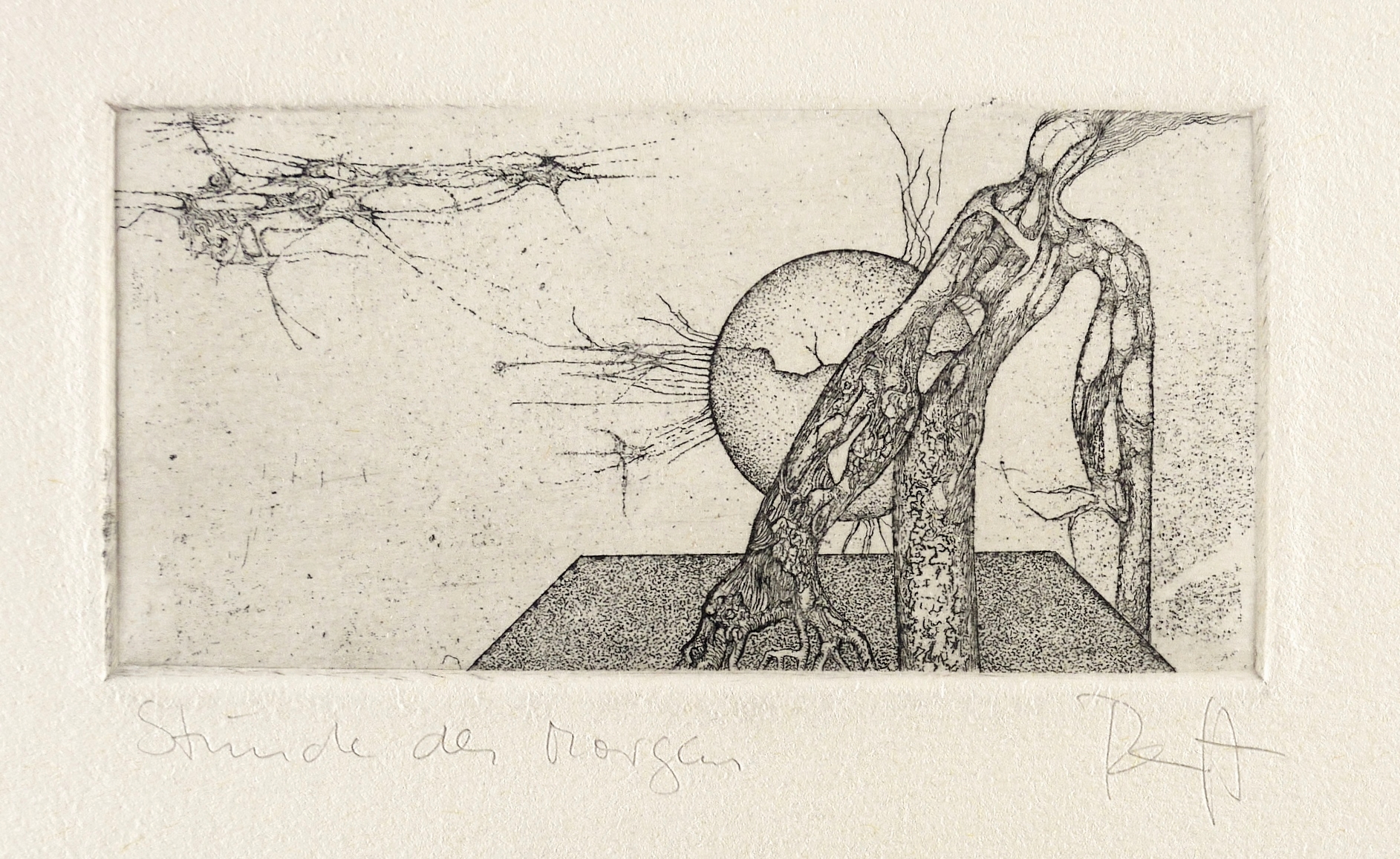 Ranft, Thomas. Stun…