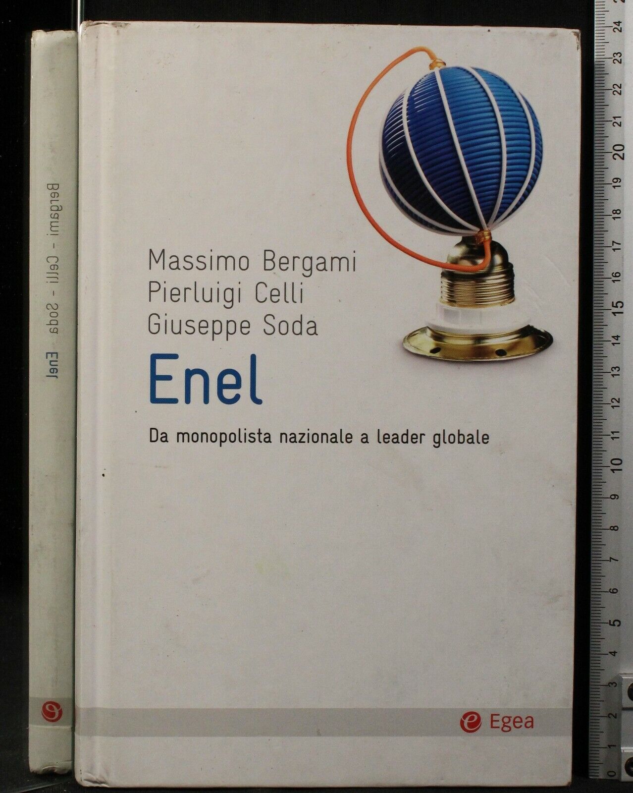 Enel Bergami Massimo - image