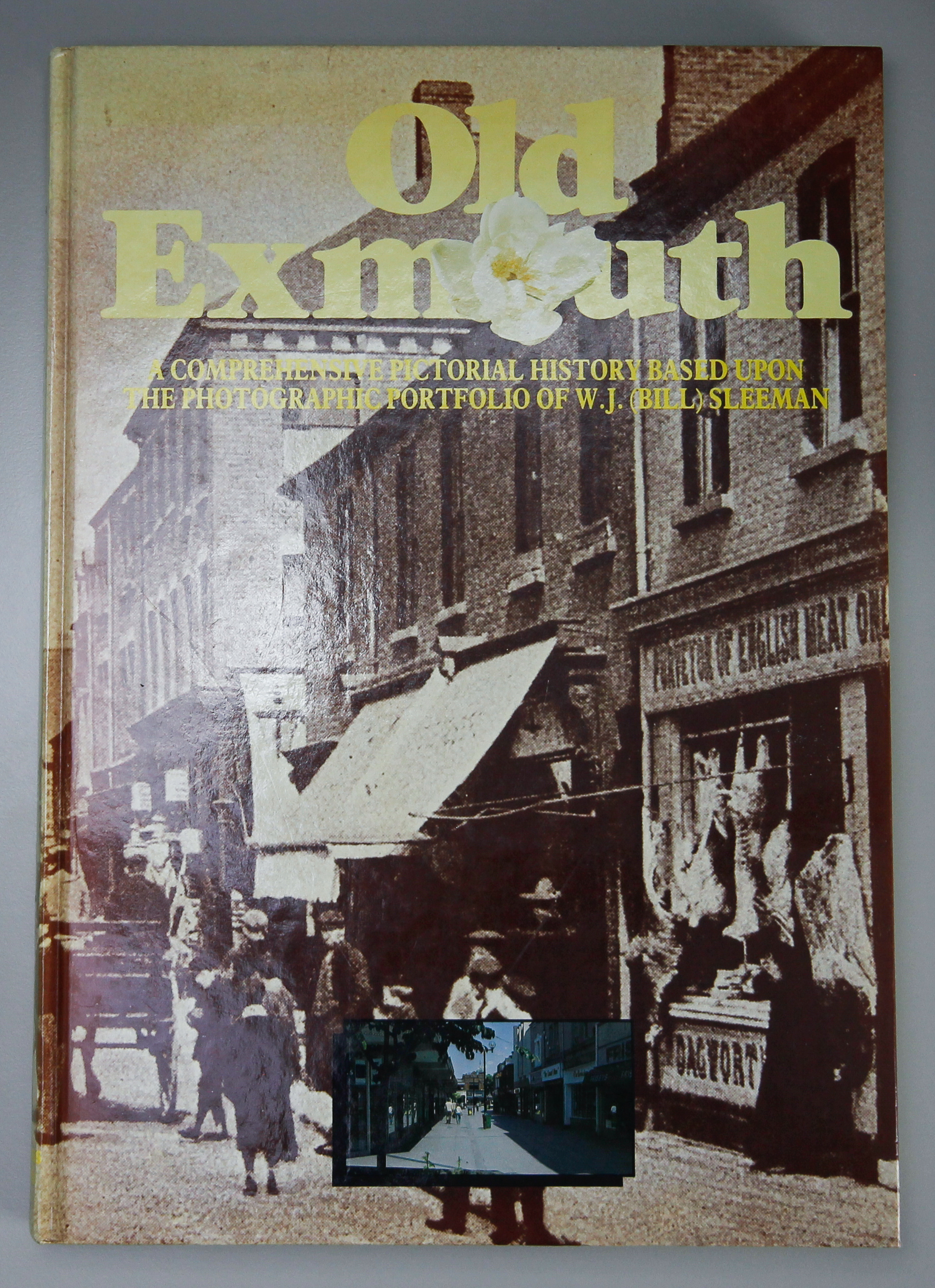 Old Exmouth - Picto…