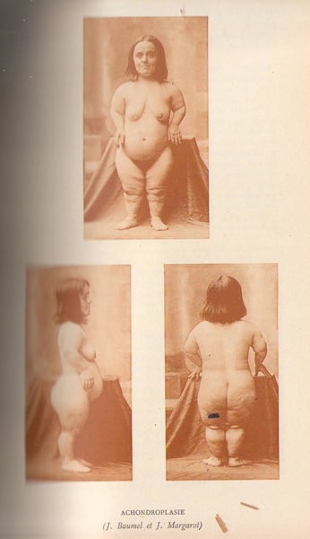 Nouvelle Iconograph…