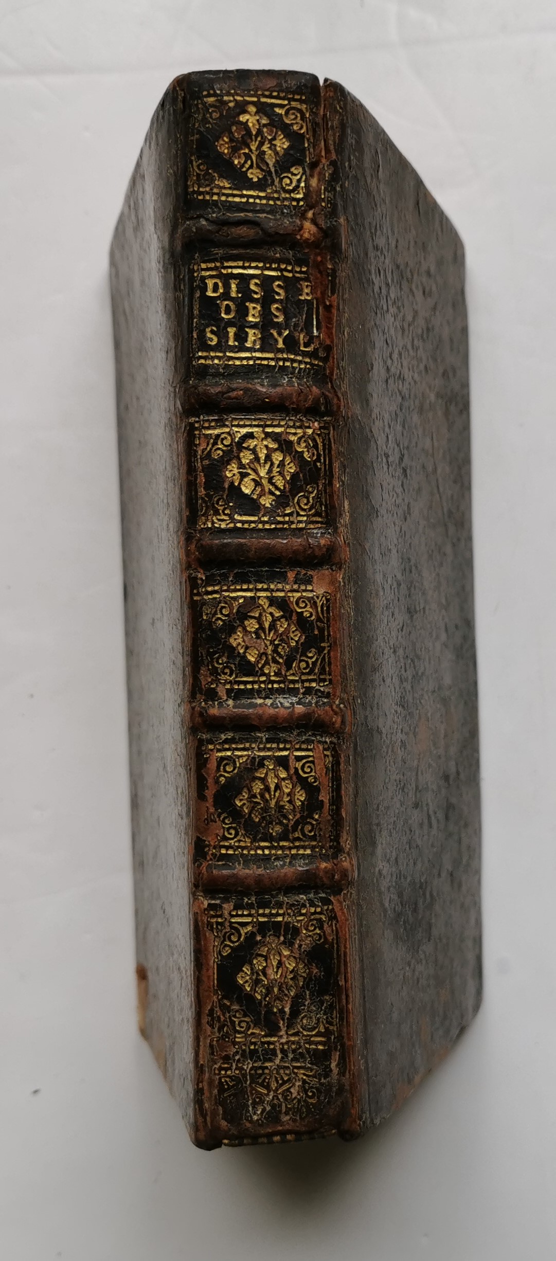 Dissertation Sur Le… - image