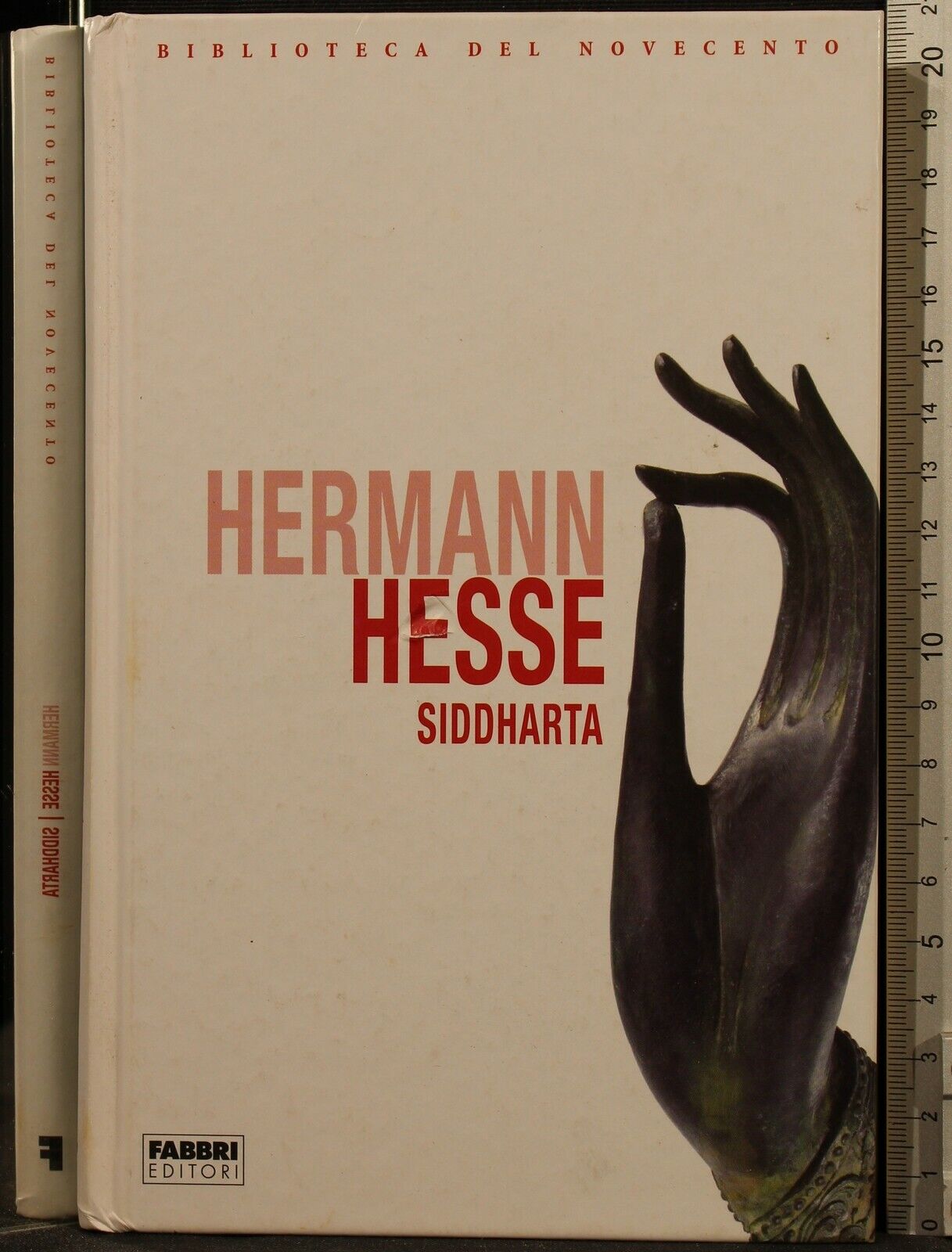 SIDDHARTA - Hesse