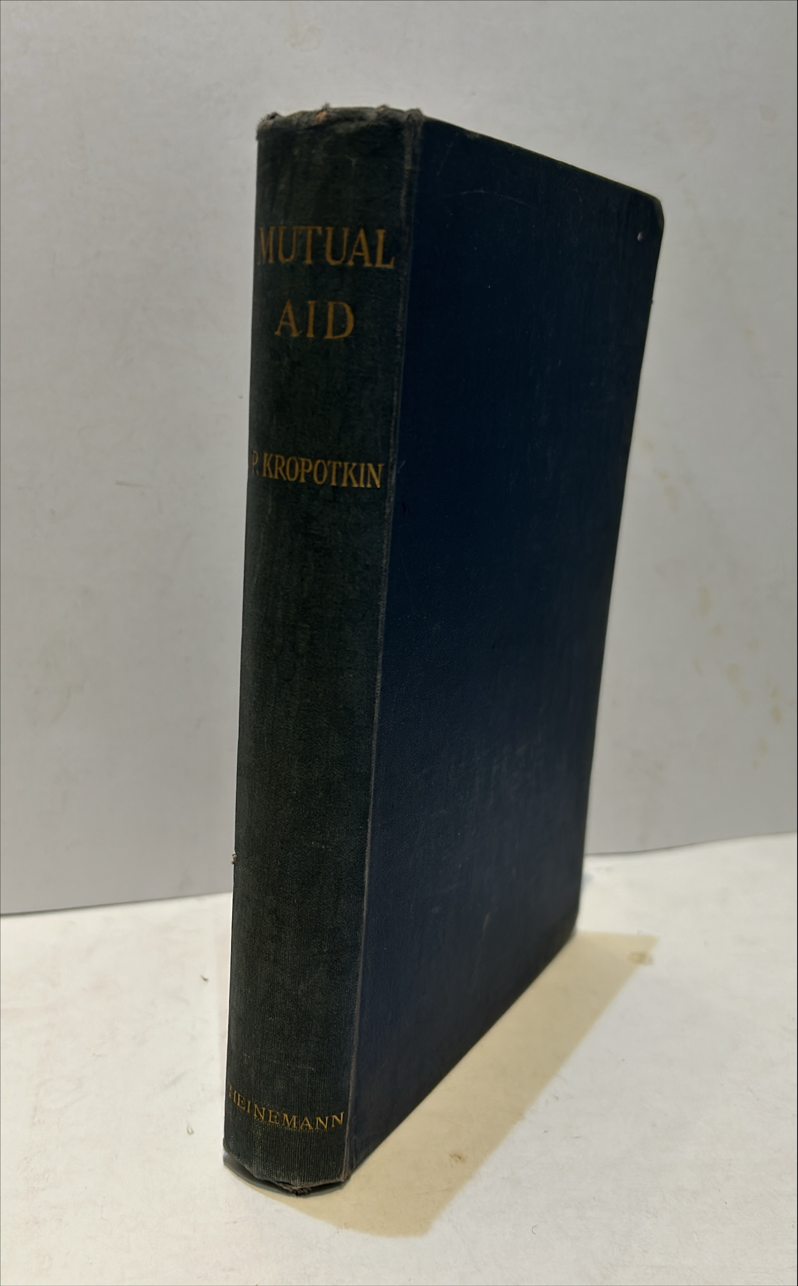 Mutual Aid: A Facto…