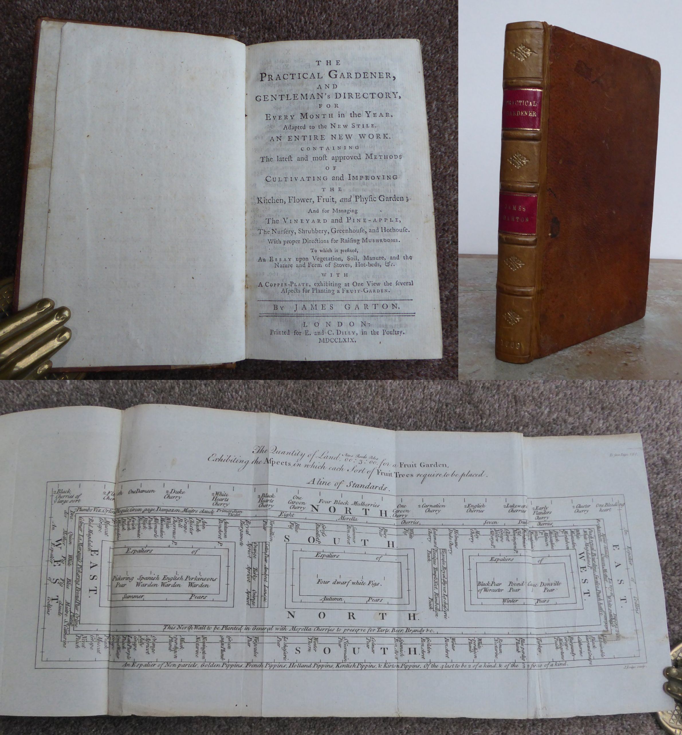 The Practical Garde…