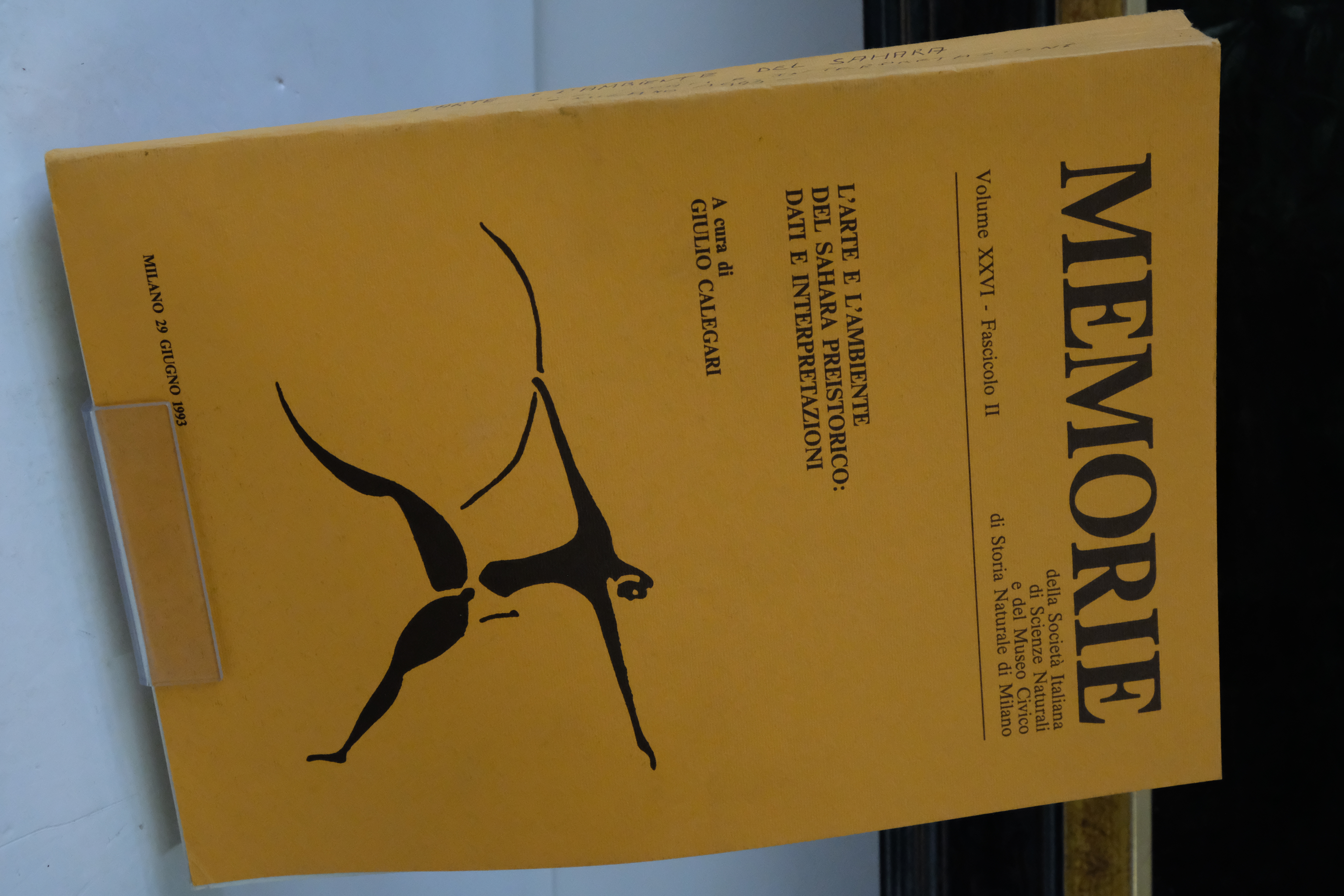 L'arte E L'ambiente… - image