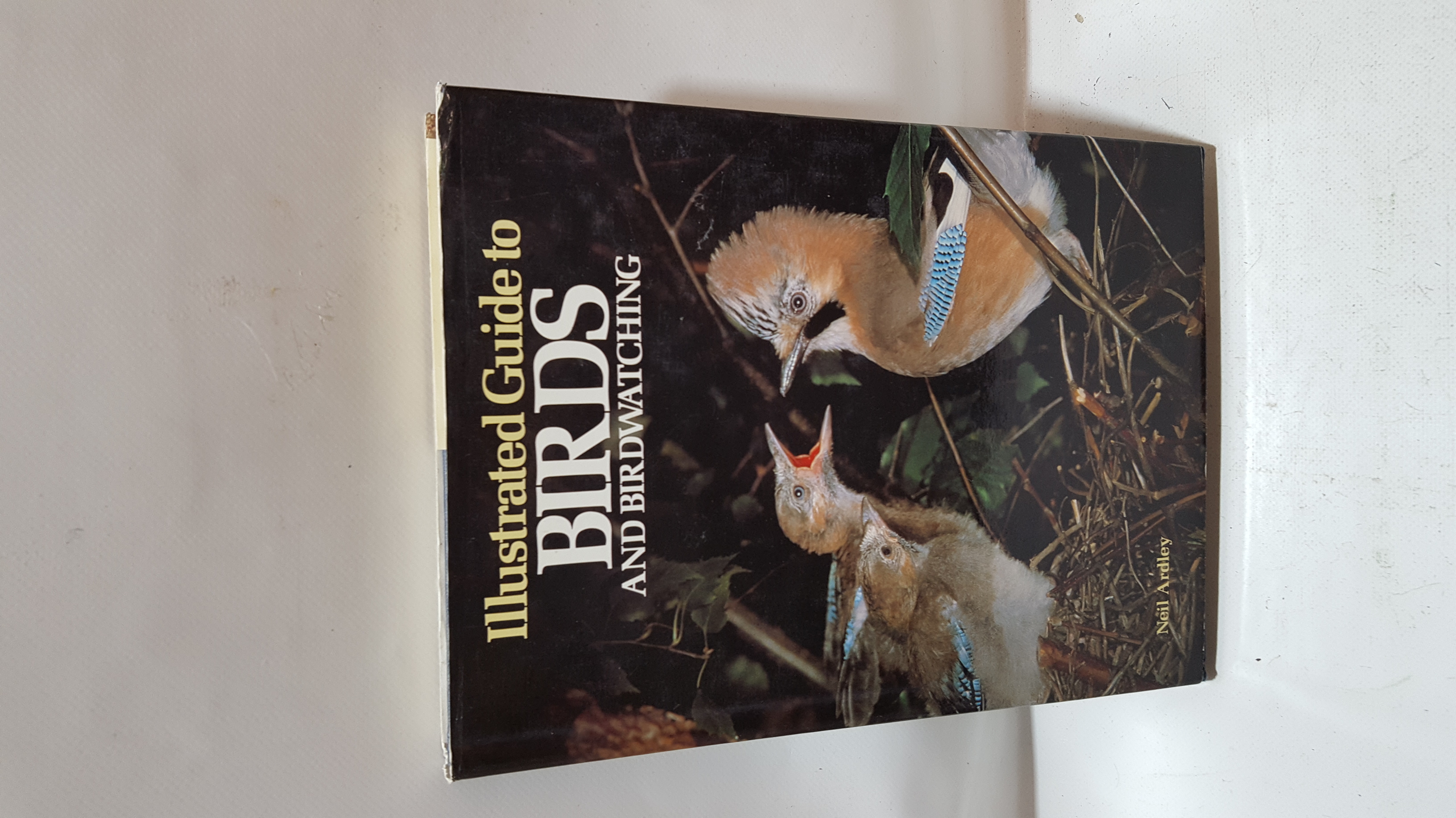 Illustrated Guide T…