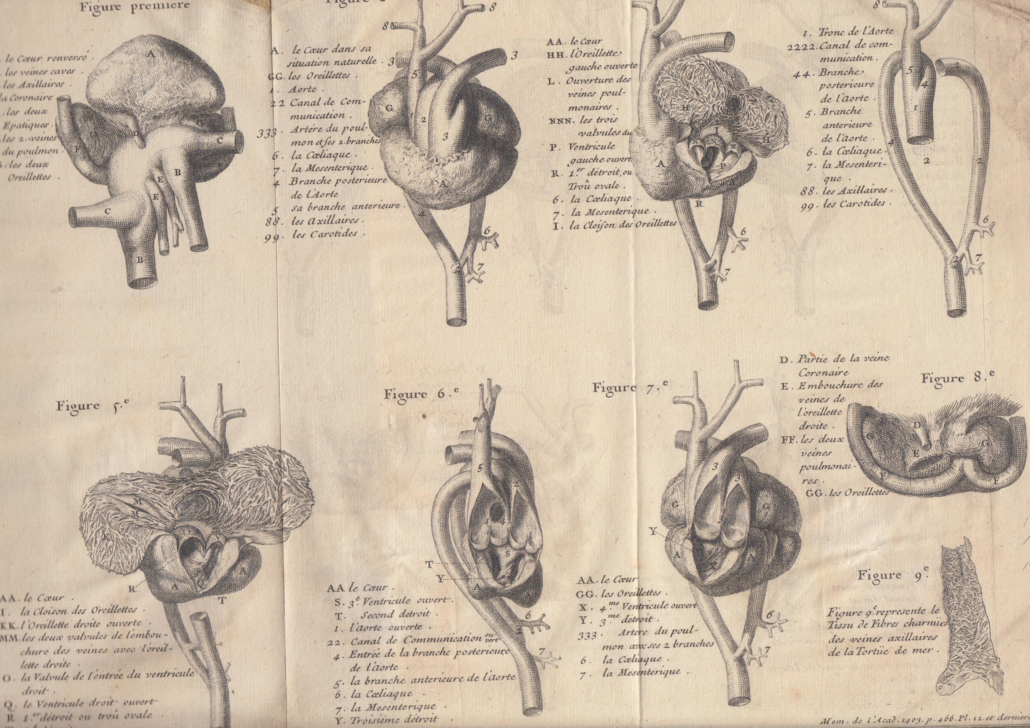 Traité Physique De …