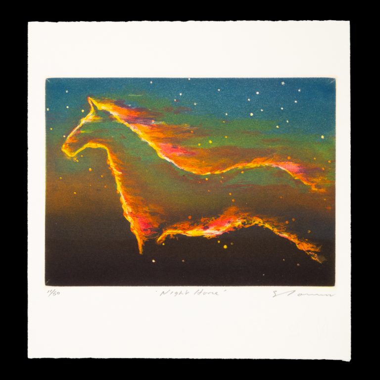 Tim Storrier (Delux…