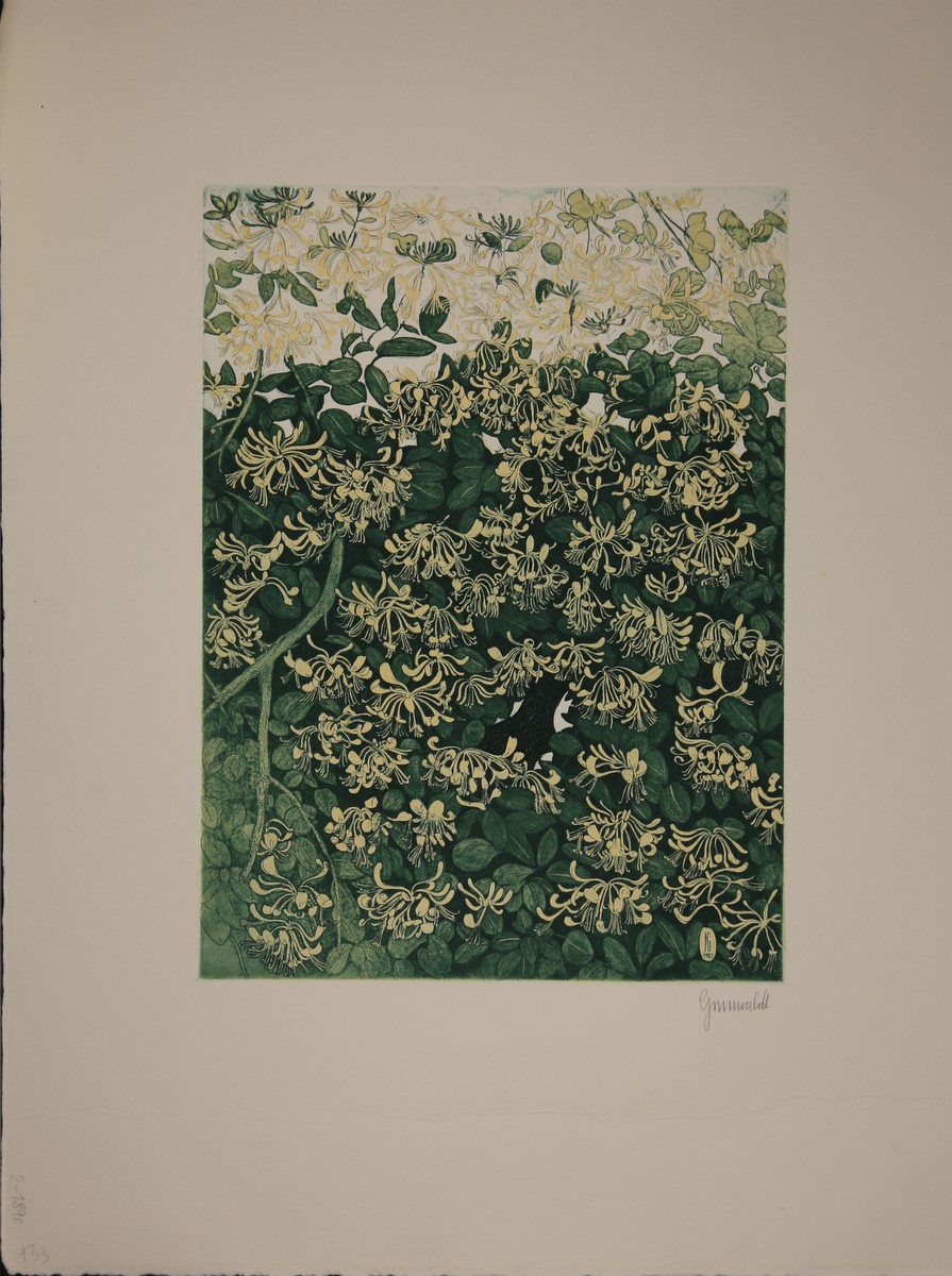 Florale Motive. Far…