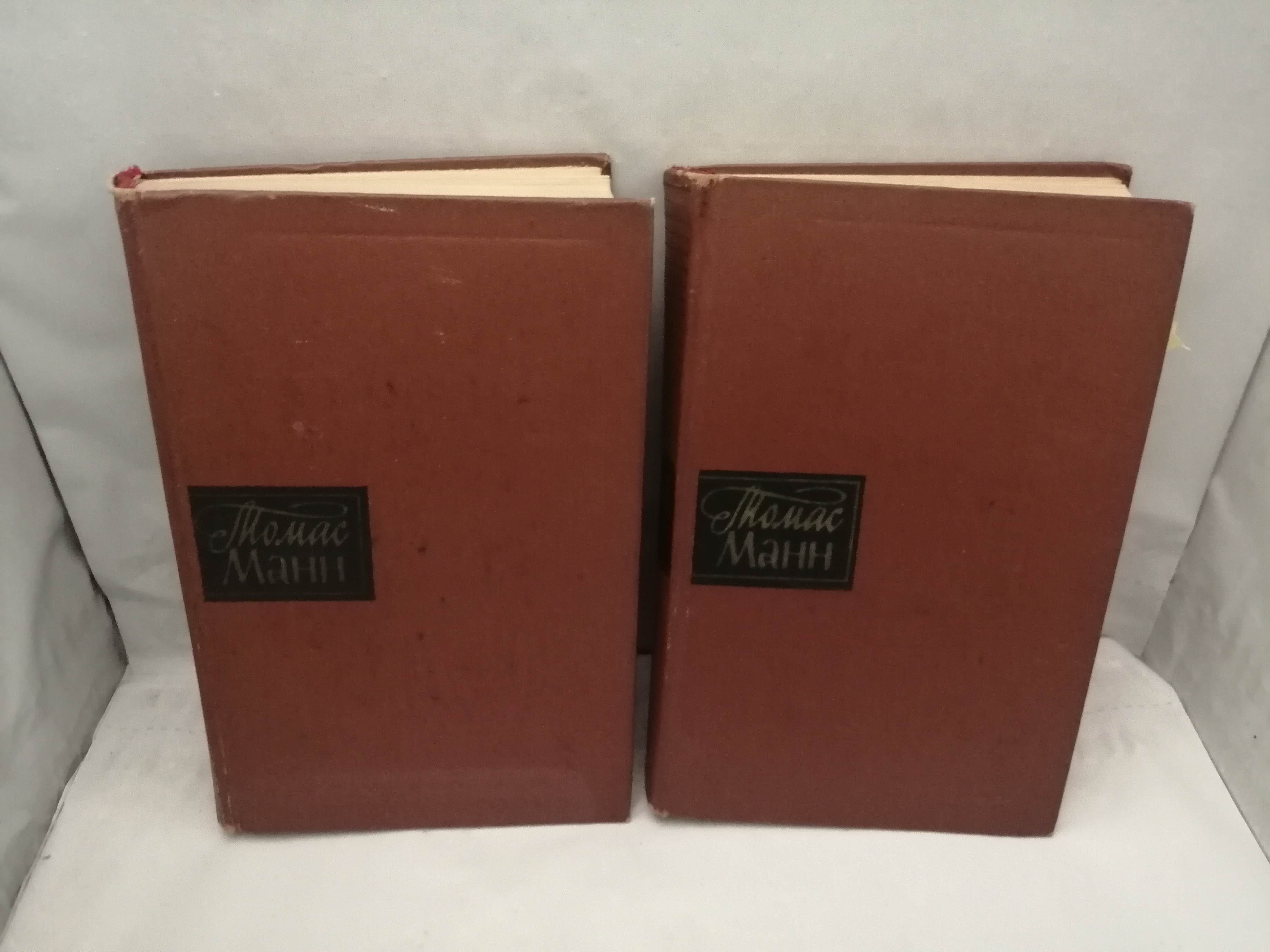 Thomas Mann, Obras …