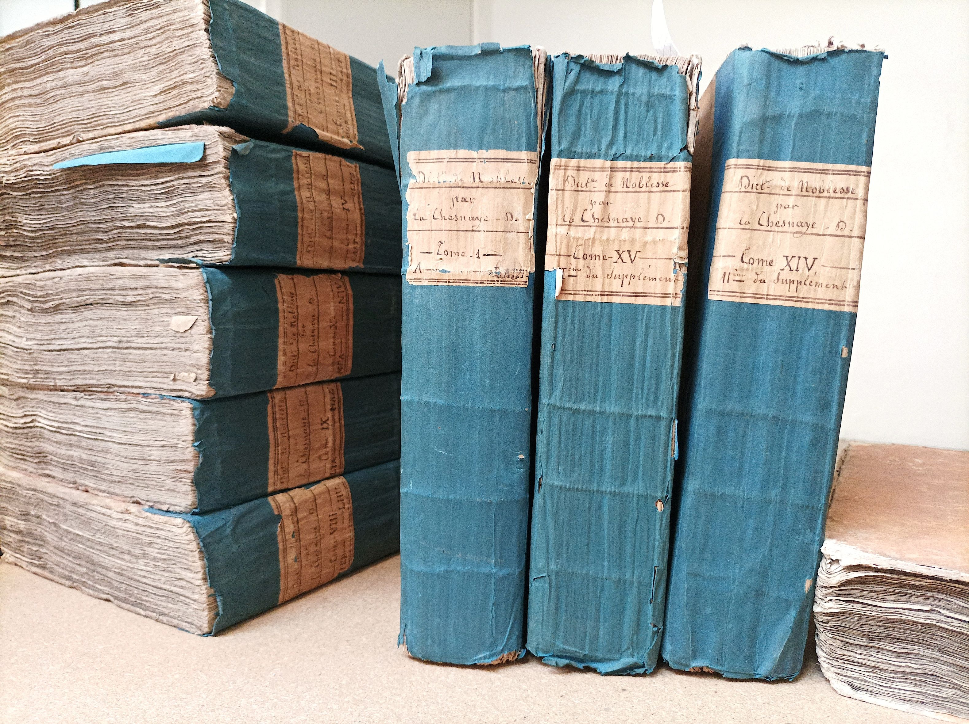 Dictionnaire De La …