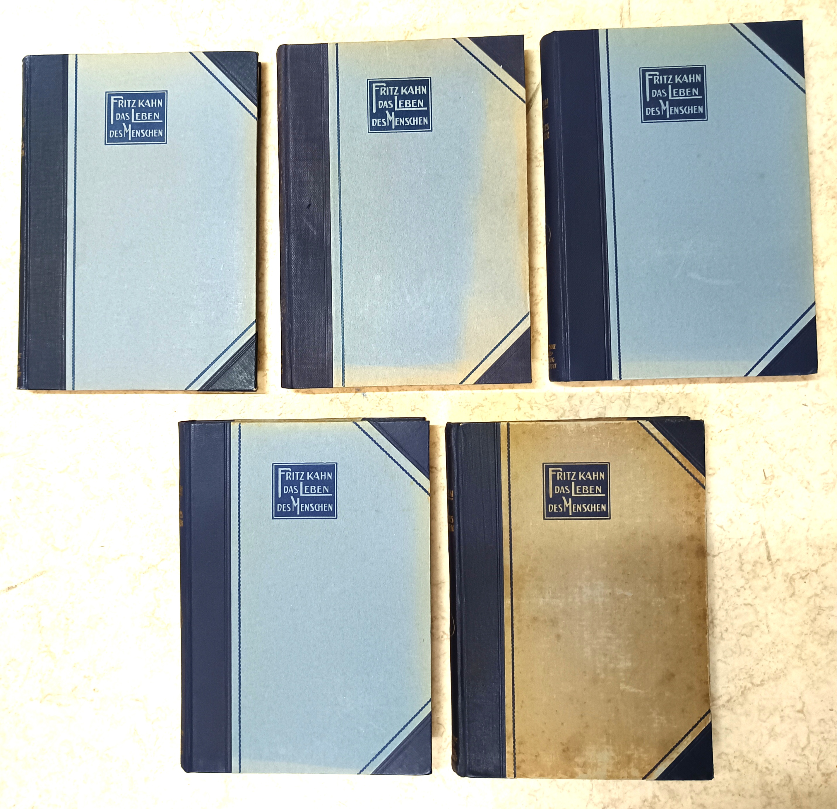 Das Leben Des Mensc…