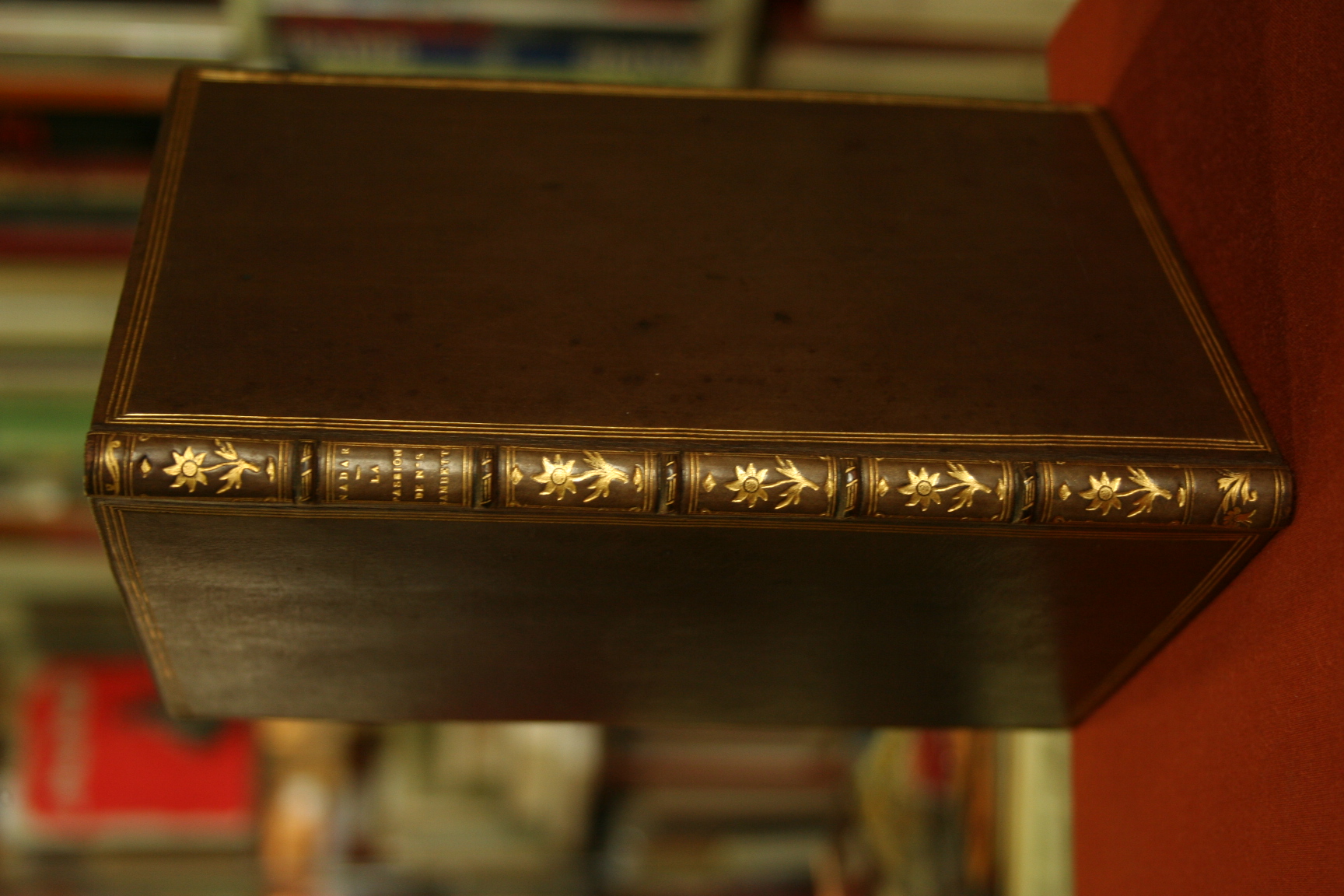 La Passion Illustré…