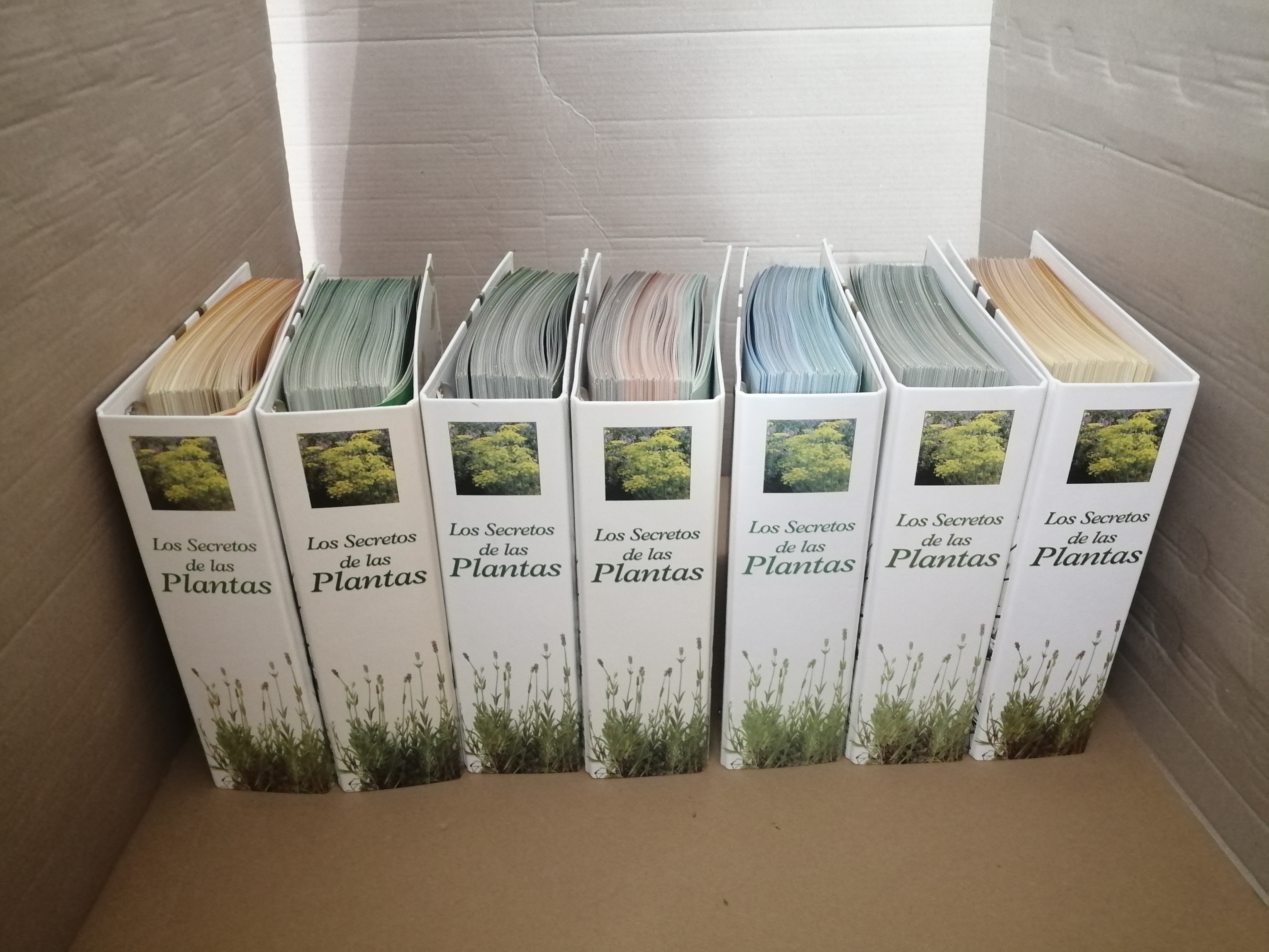 Los Secretos De Las…