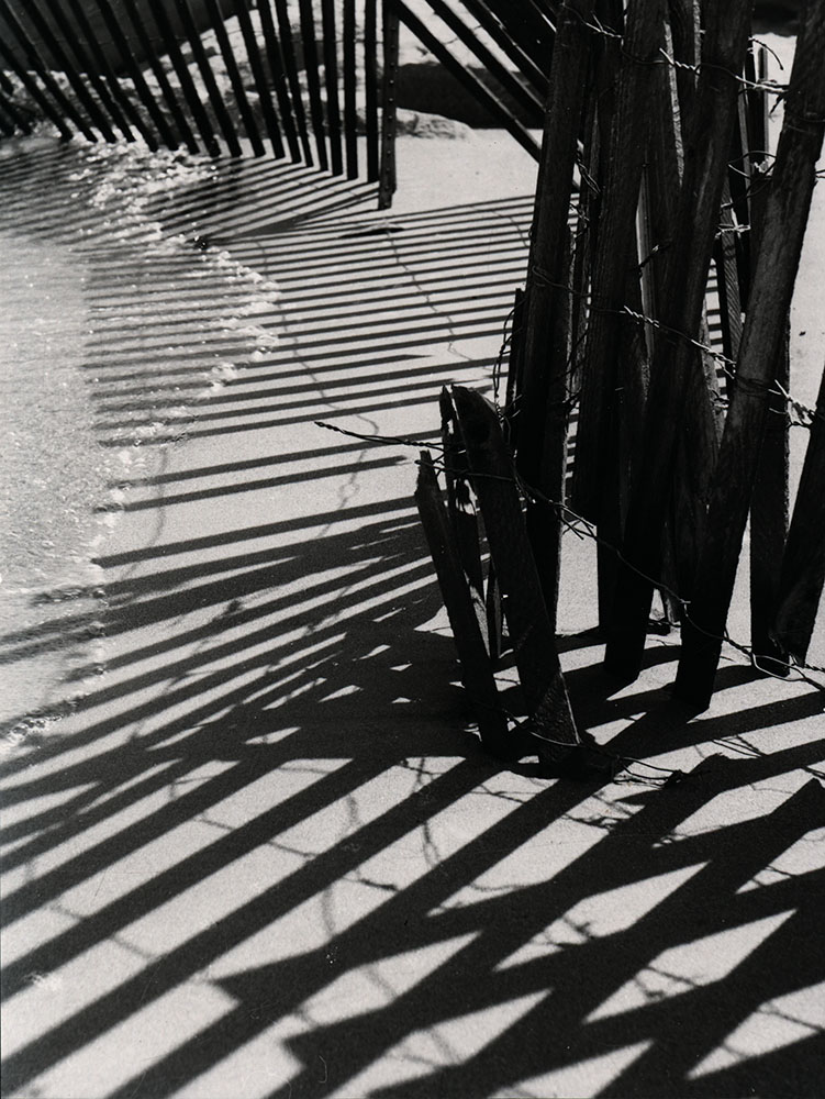 Am Lake Michigan. 1…