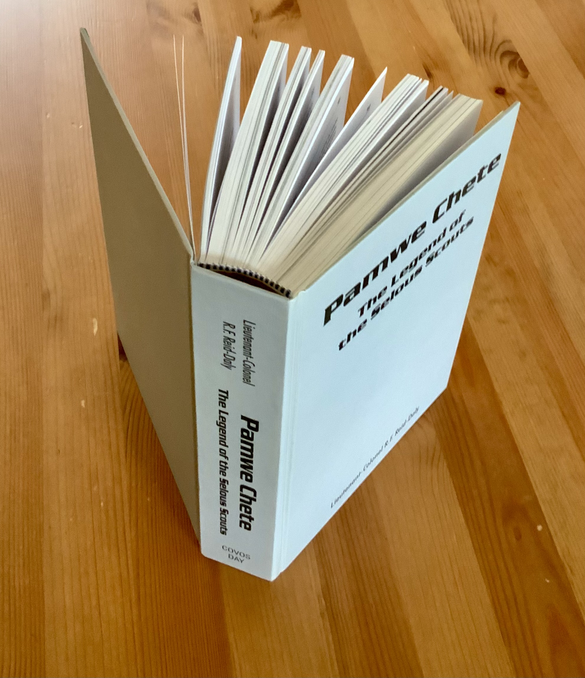 Pamwe Chete , The L…