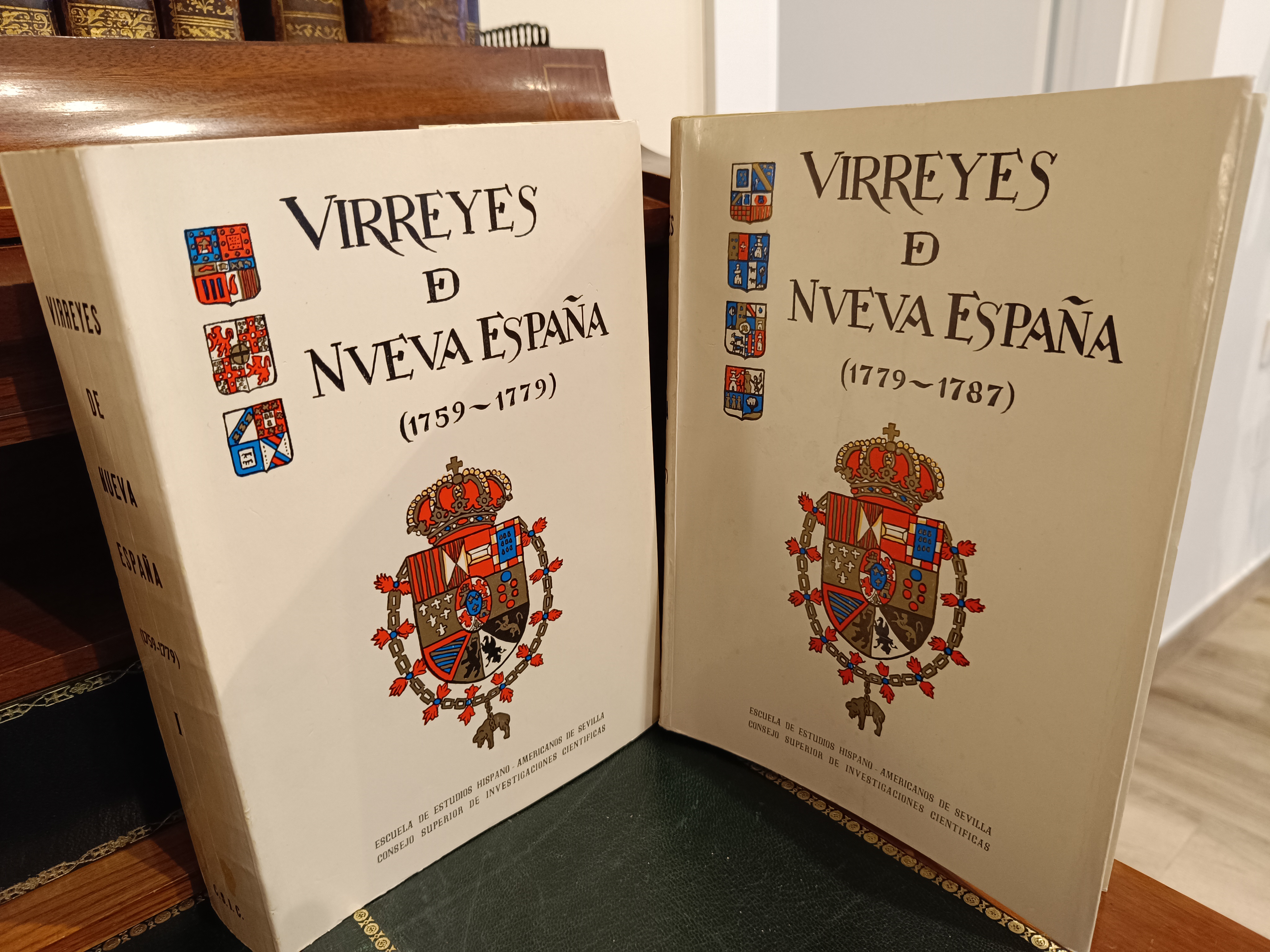 Los Virreyes De Nue…