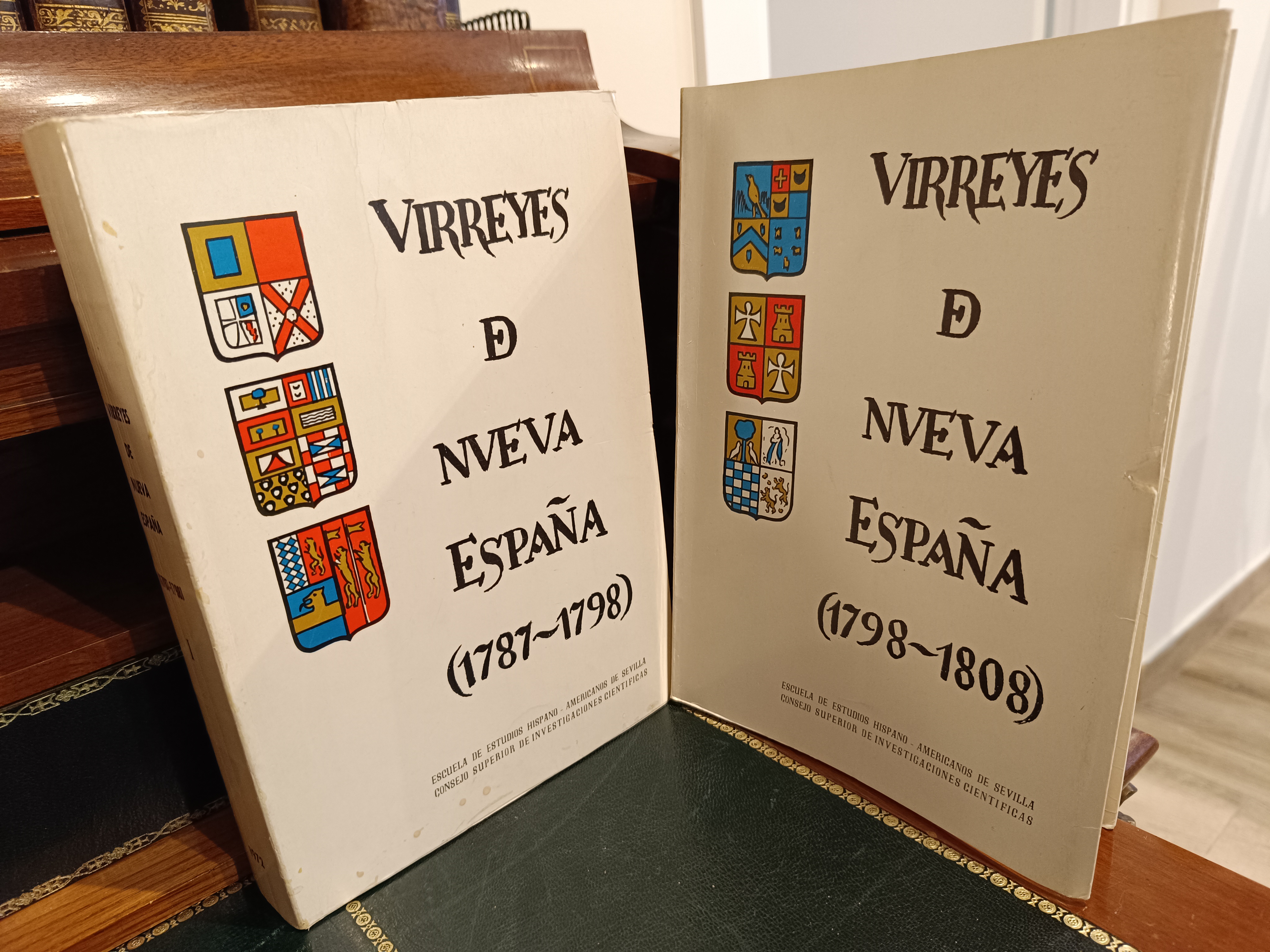 Los Virreyes De Nue…