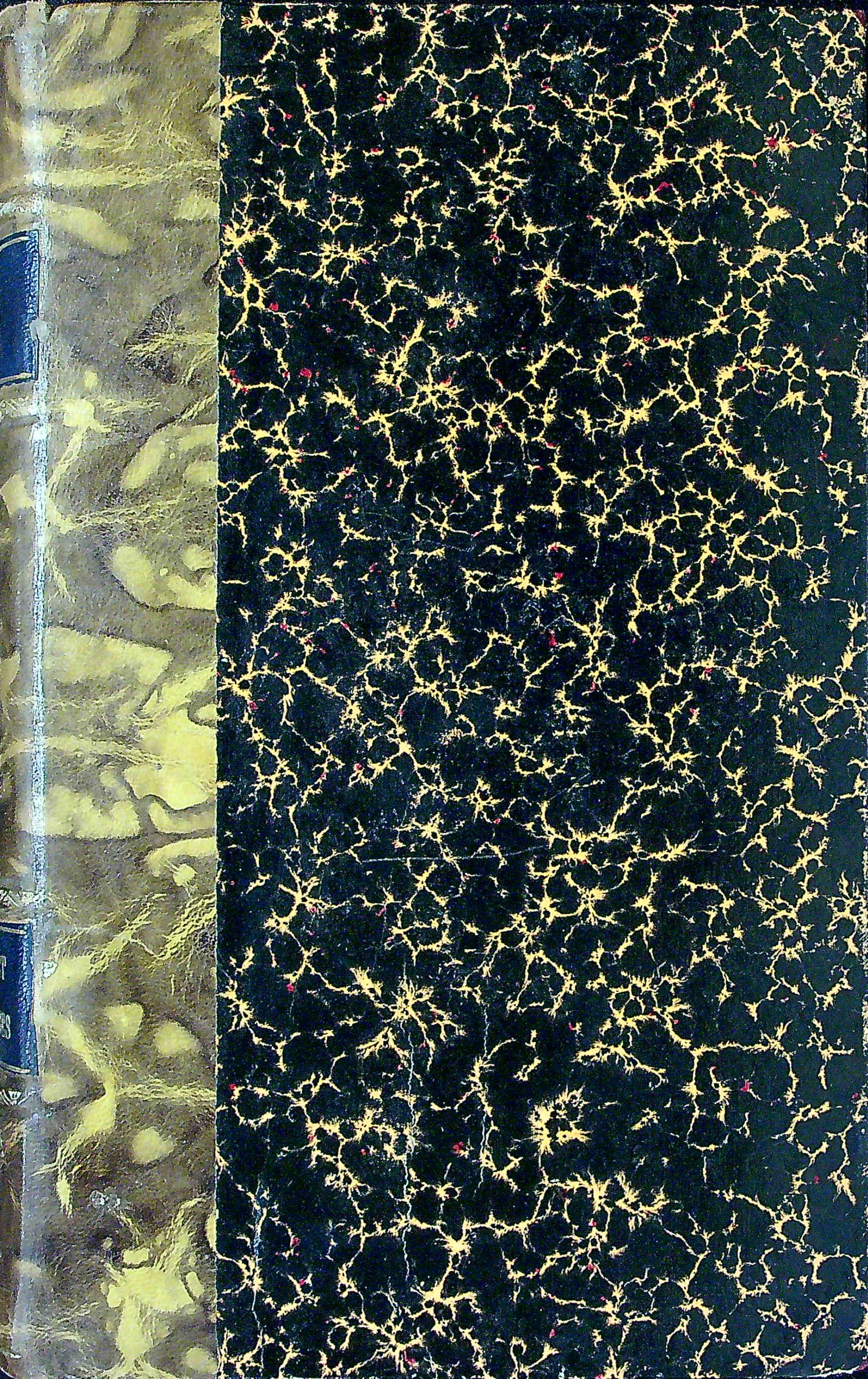 Visages Et Caracter…