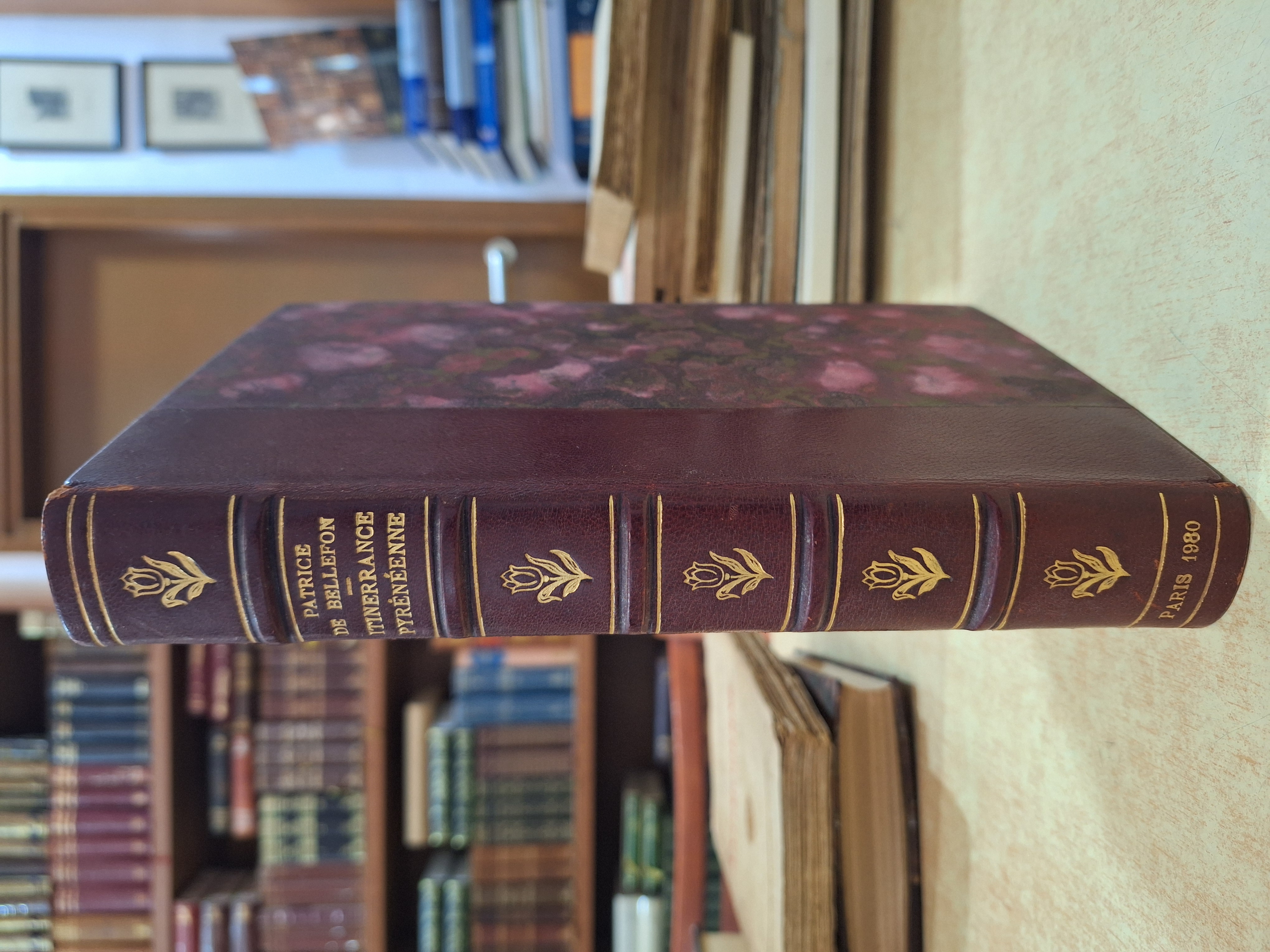 Itinerrance PyrÉNÉE… - image