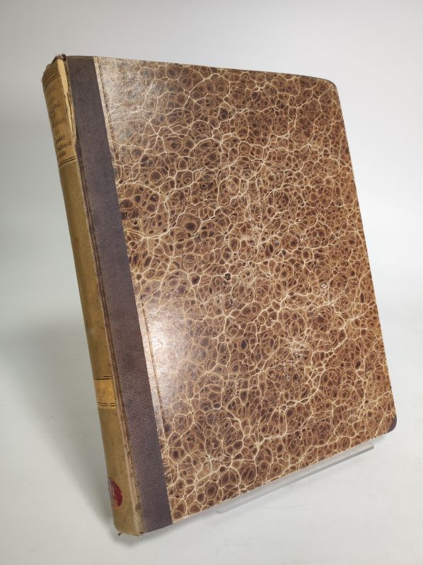 Wahre Tagesmittel U…