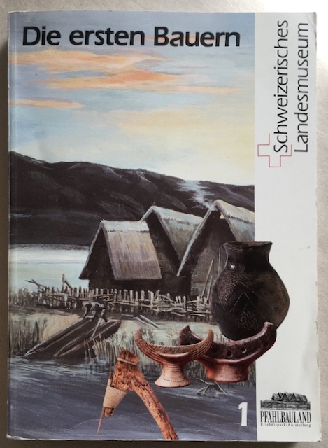 Pfahlbaufunde Europ…