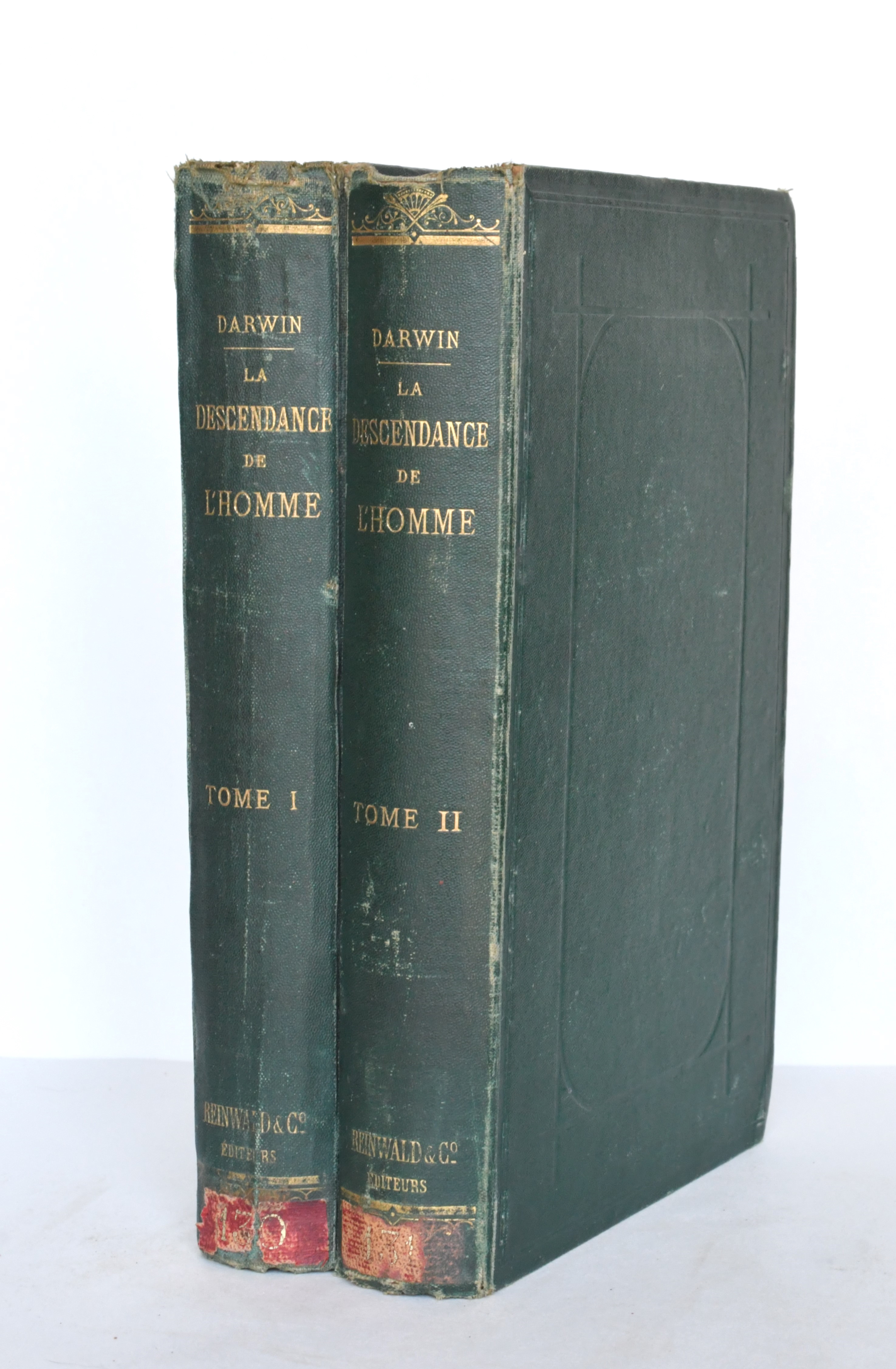 La Descendance De L…