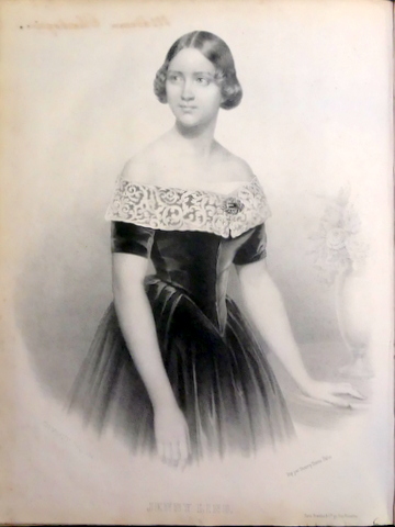 Fleurs Des Neiges. …