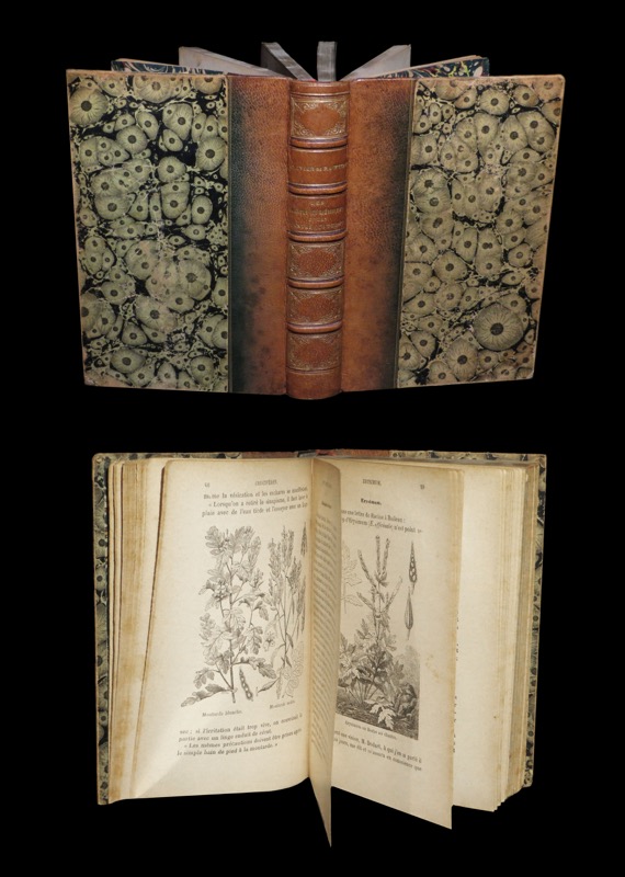 Les Plantes Qui Gué…