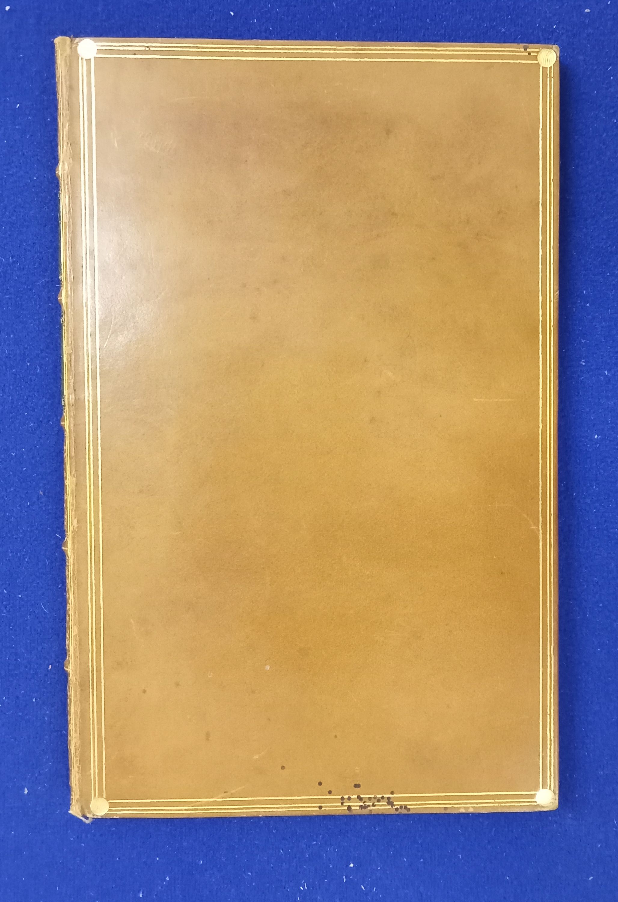 Dolores. [ A Wise/F…