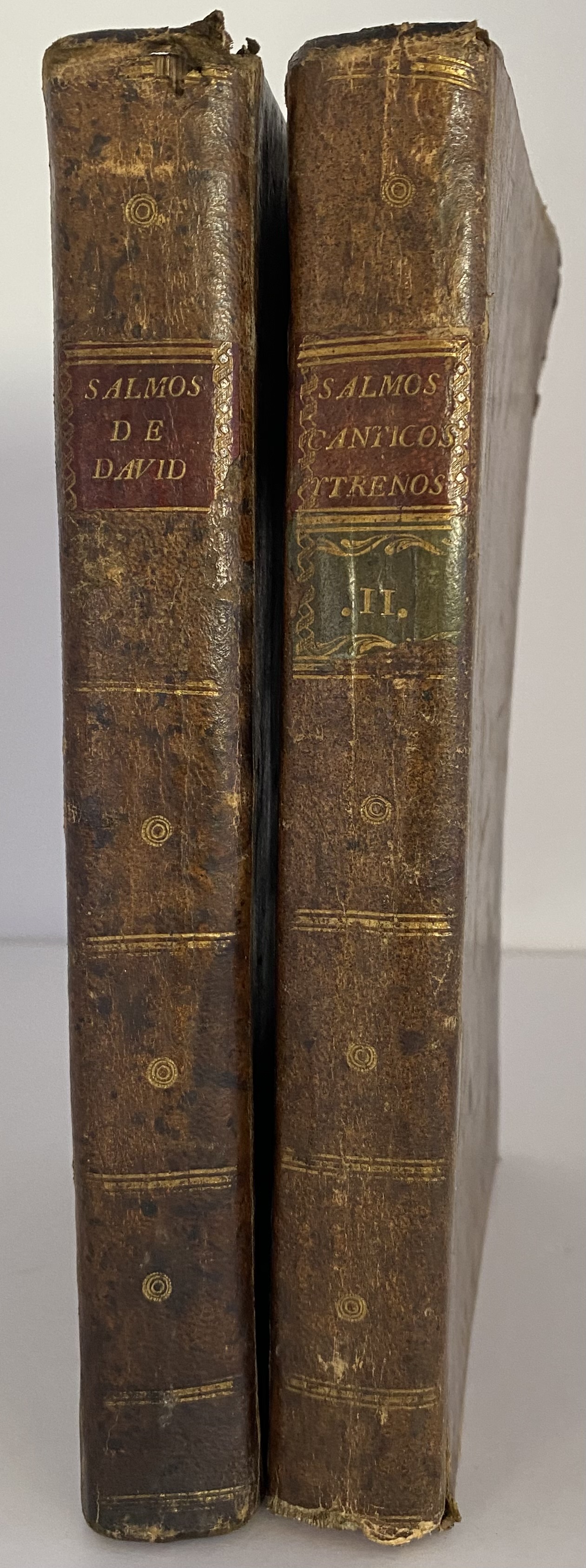 Los Salmos Traducid…