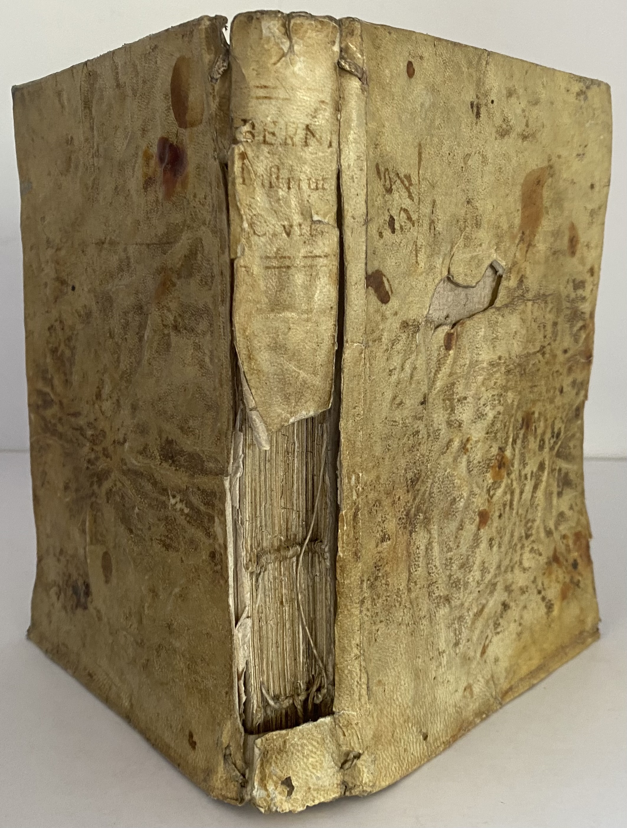 Instituta Civil, Y …