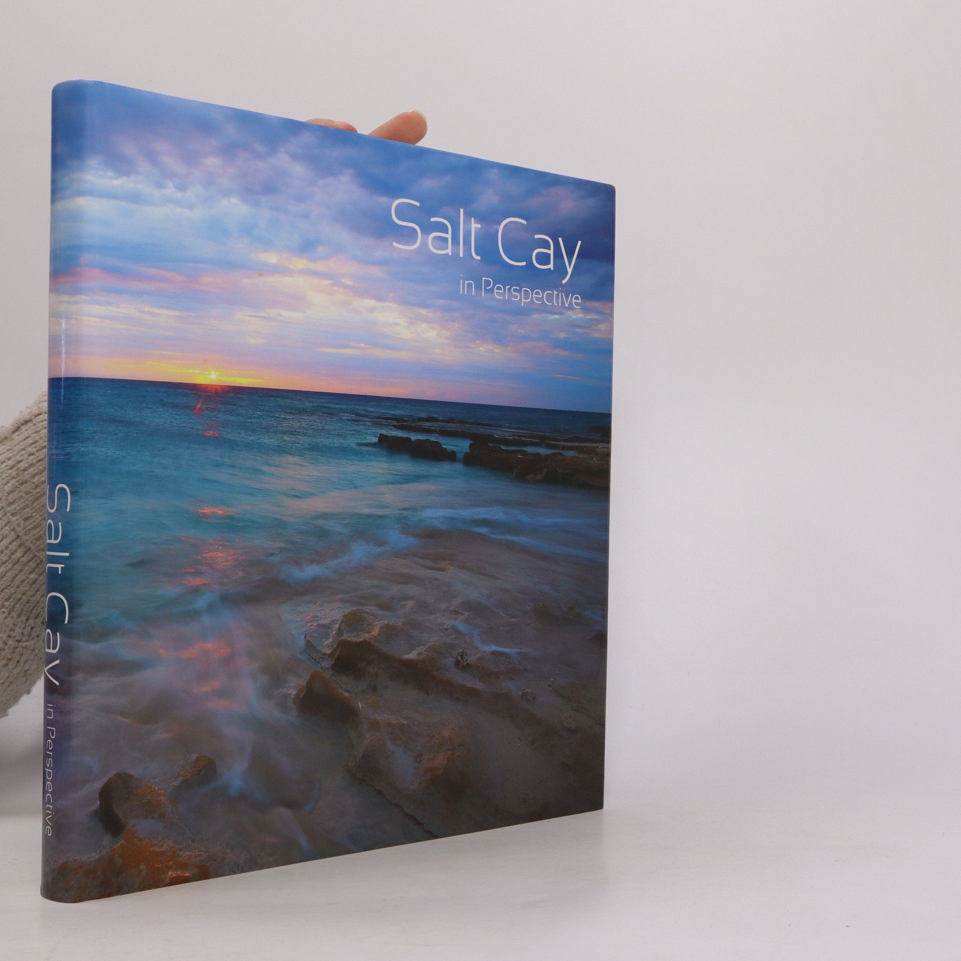 Salt Cay In Perspec…