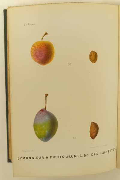 Le Verger Ou Histoi…