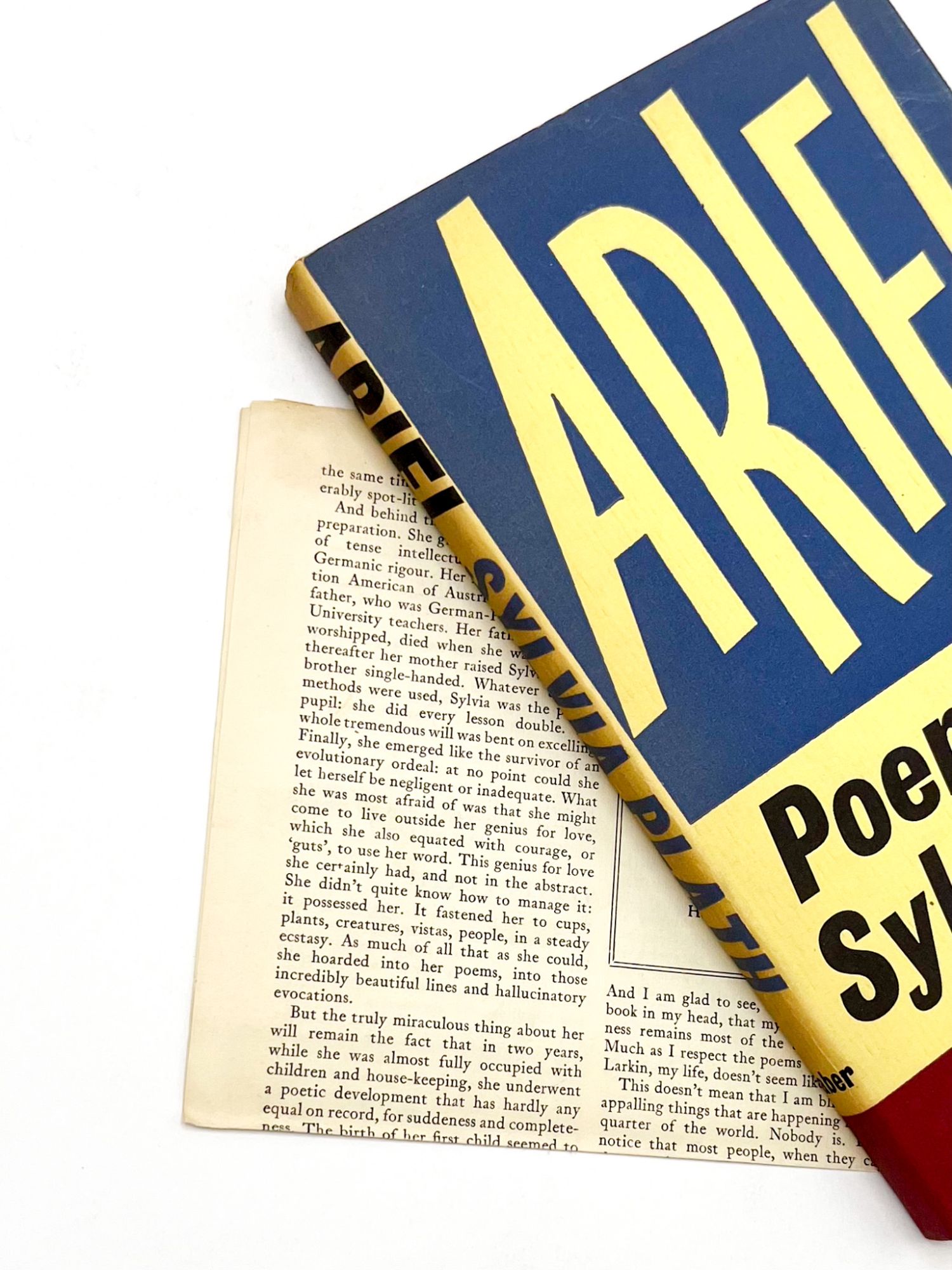 Ariel Plath, Sylvia…