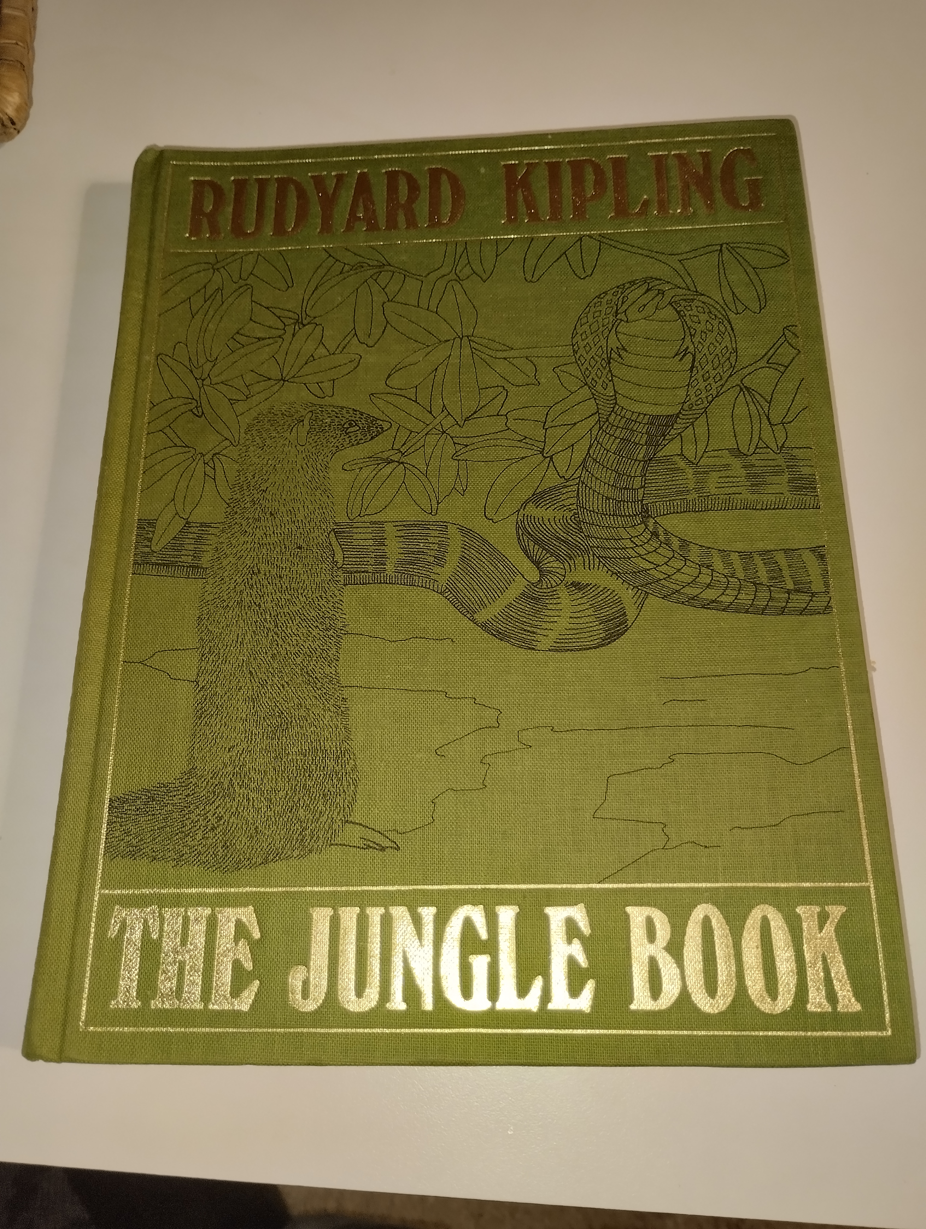 Jungle Book Folio S…