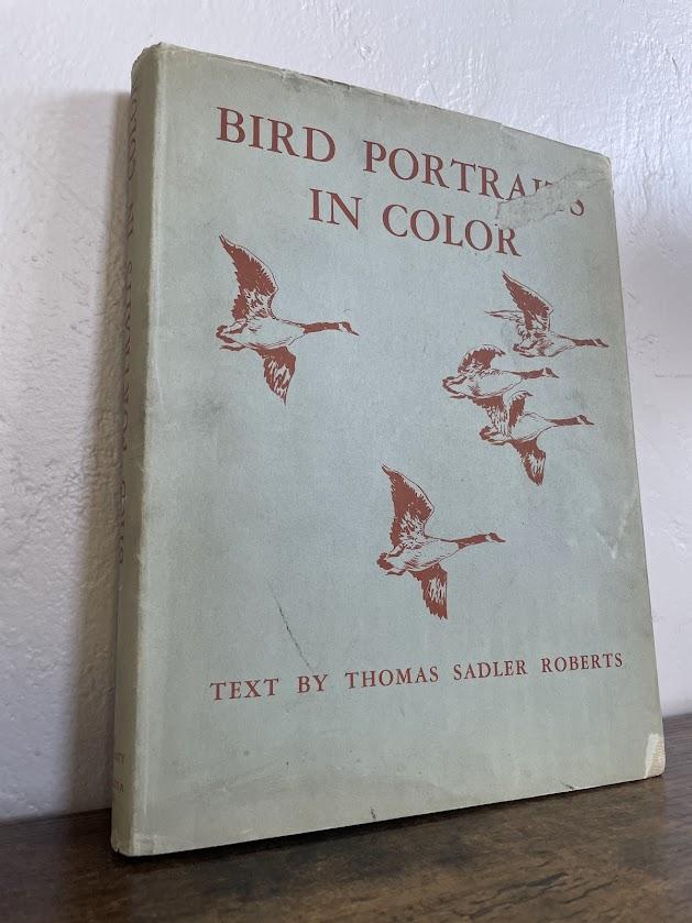 Bird Portraits In C…