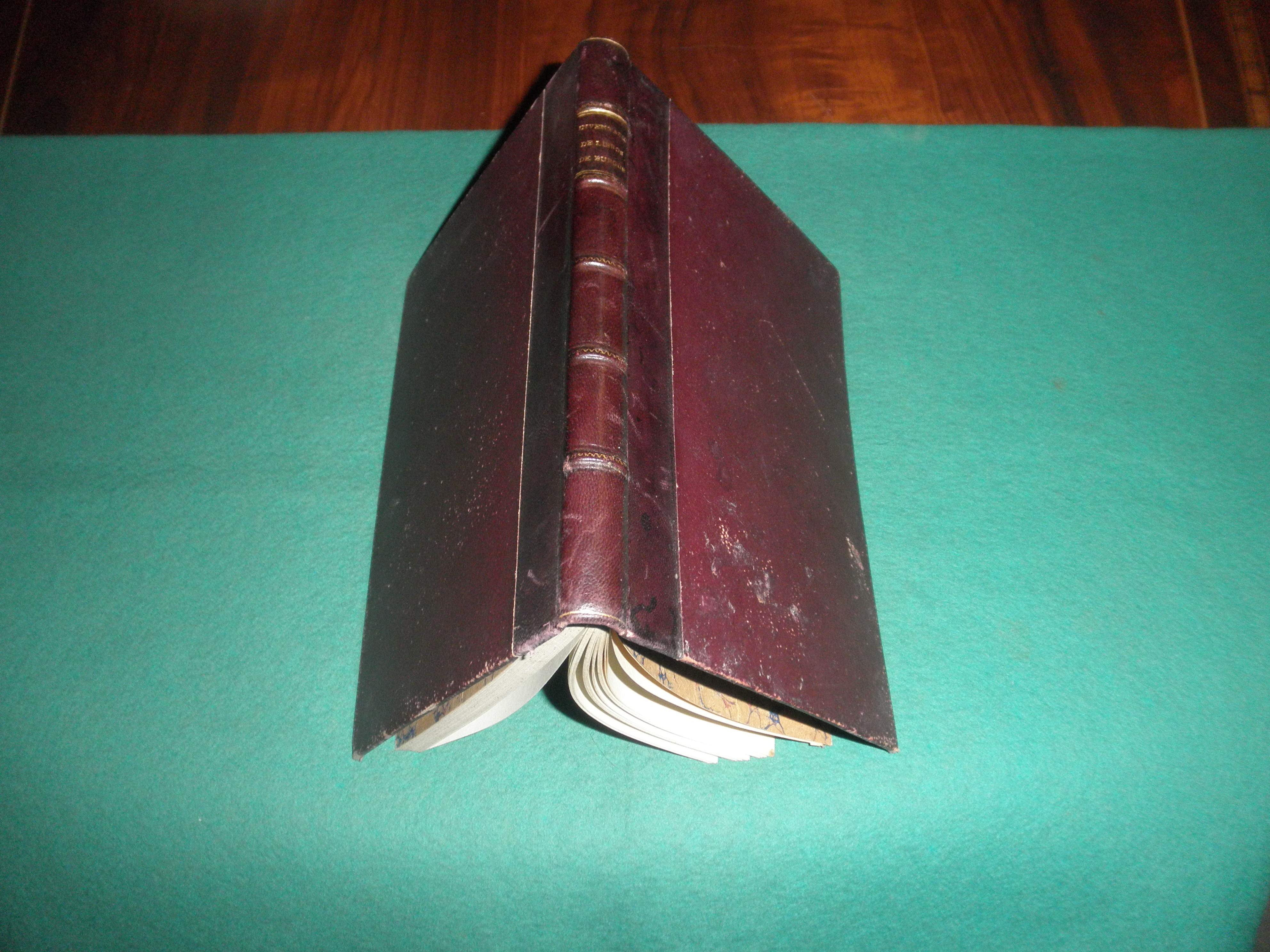 Indice Inventario P…