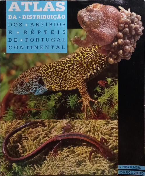 Atlas Da DistribuiÇ…