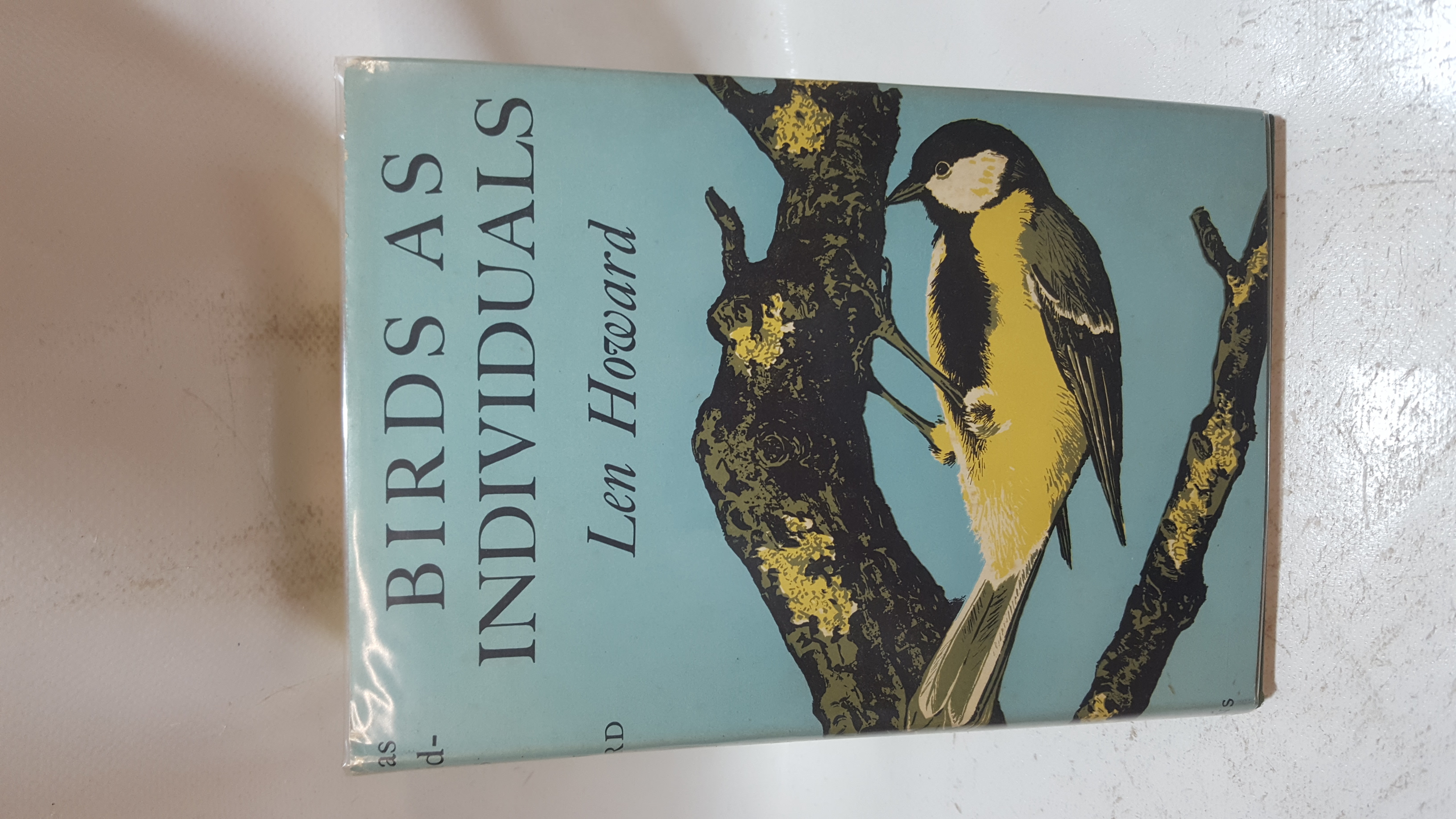 Birds As Individual…