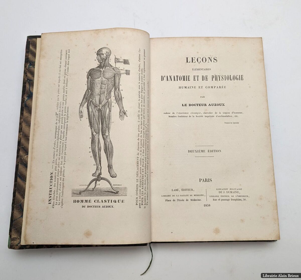 LeçOns éLéMentaires… - image