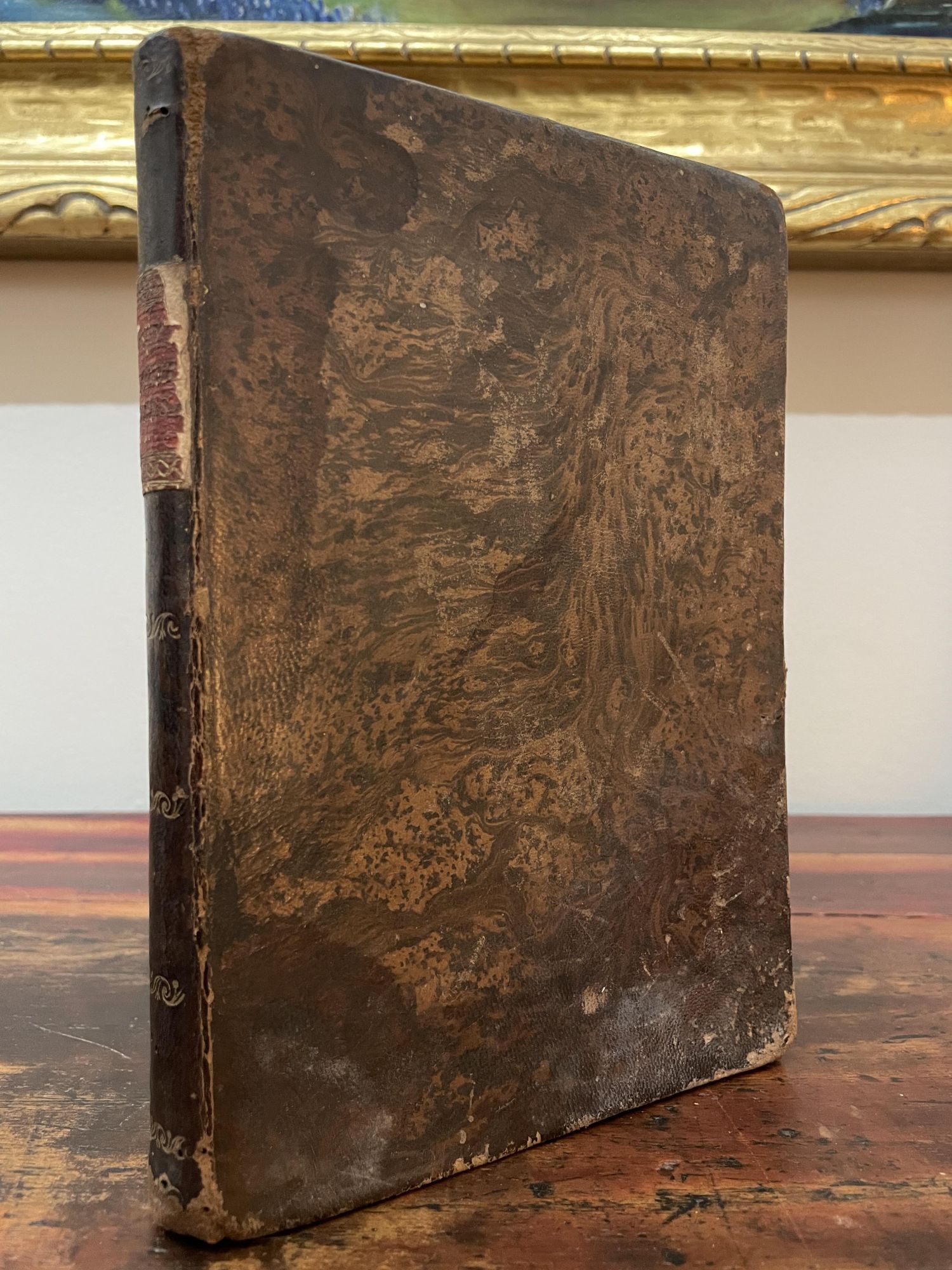 Nueva Y Completa Gr…